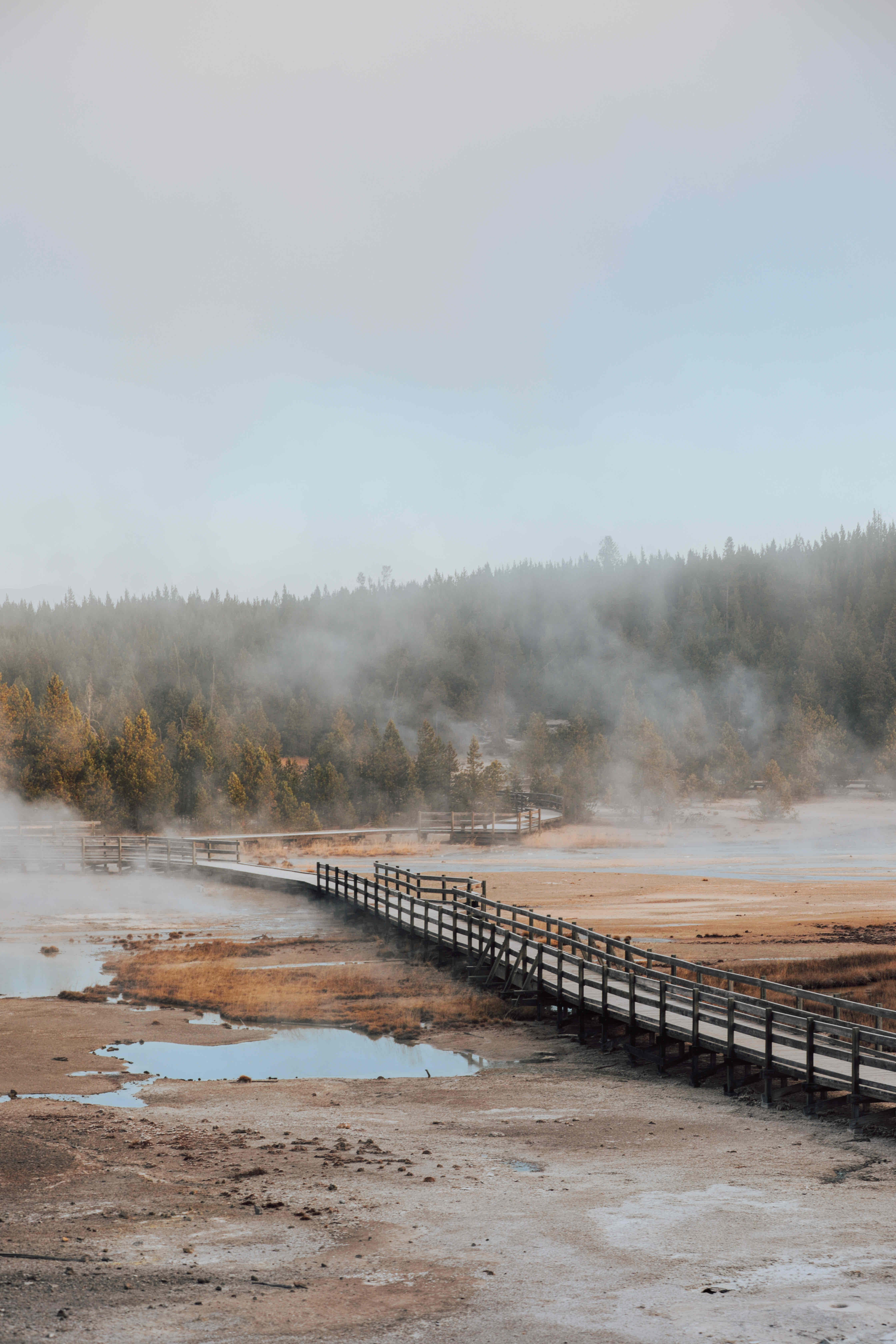 Norris Geyser Basin