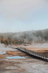 Norris Geyser Basin