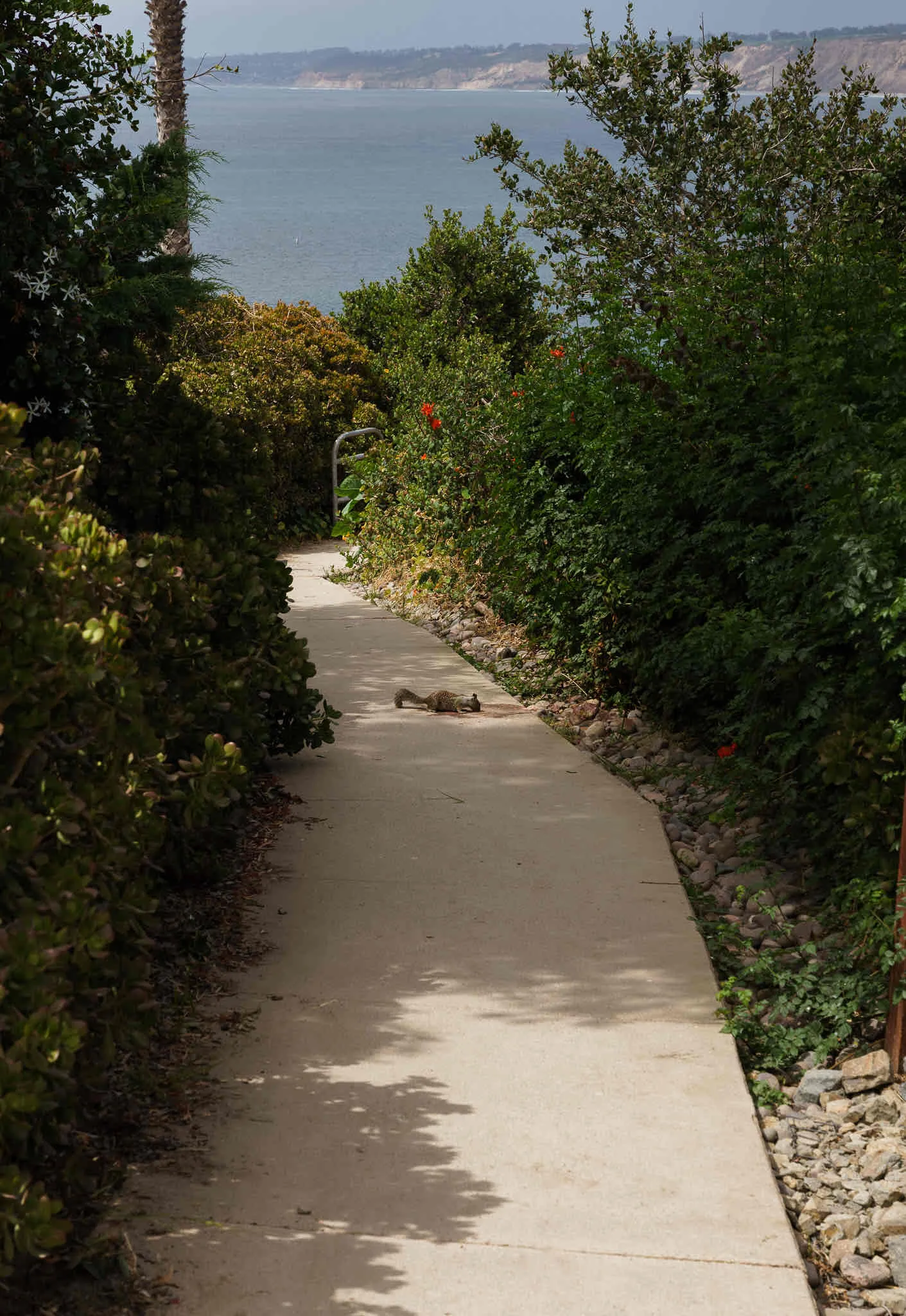 La Jolla Coast Walk Trail 