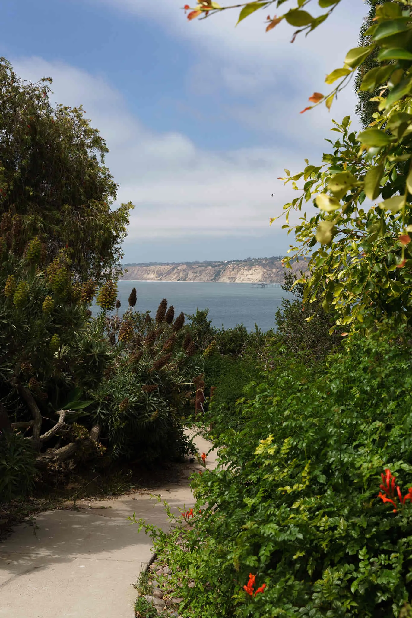 La Jolla Coast Walk Trail 