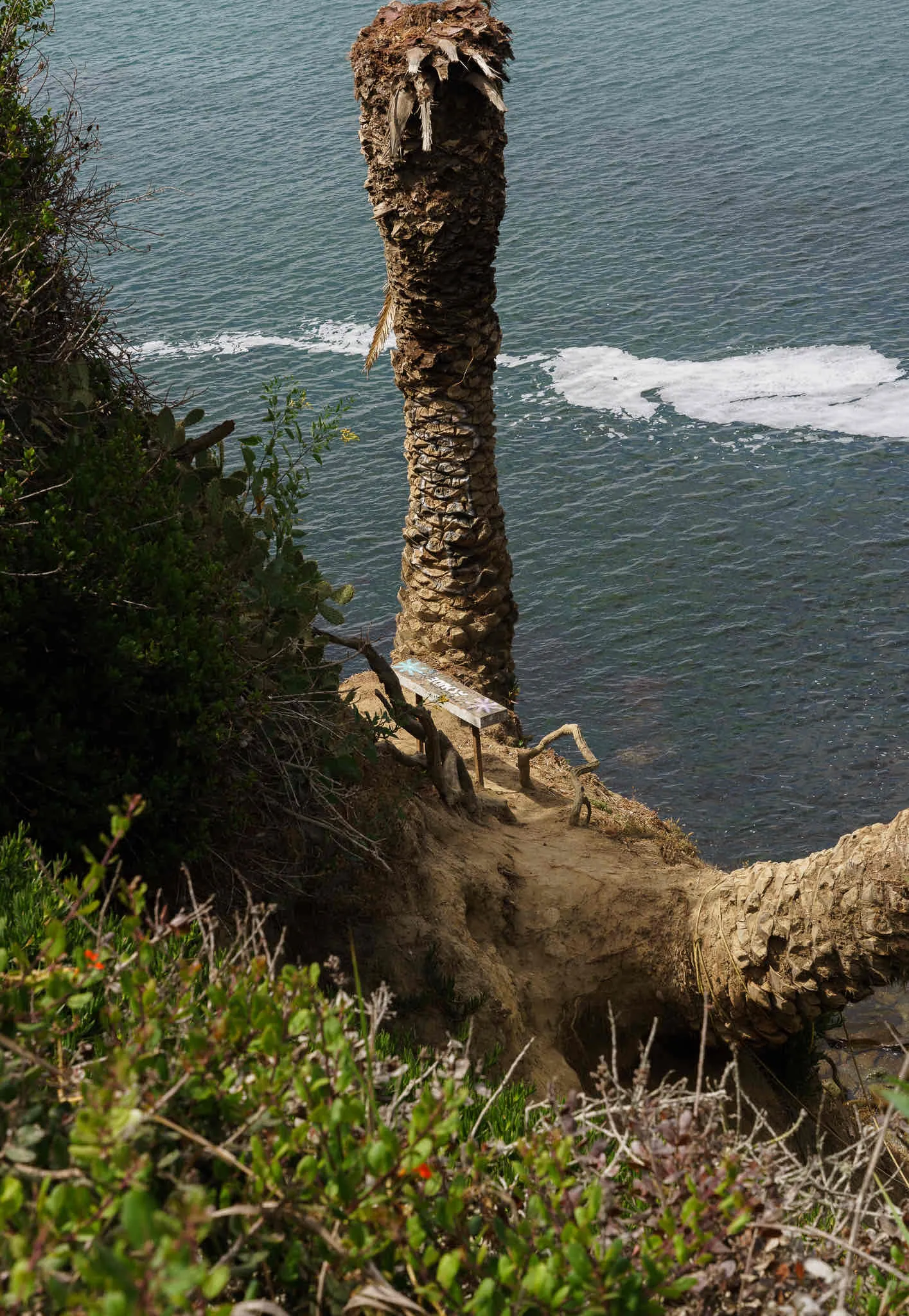 La Jolla Coast Walk Trail 
