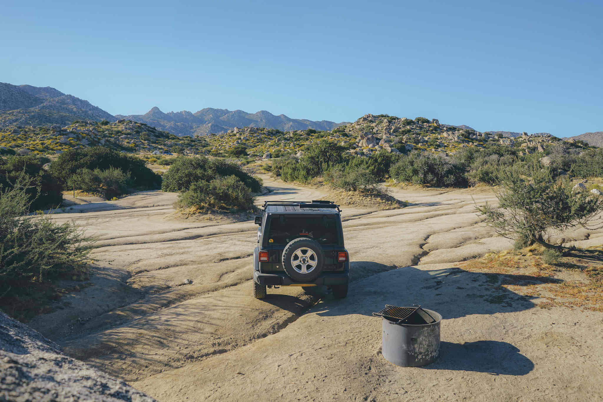 Culp Valley Primitive Campground