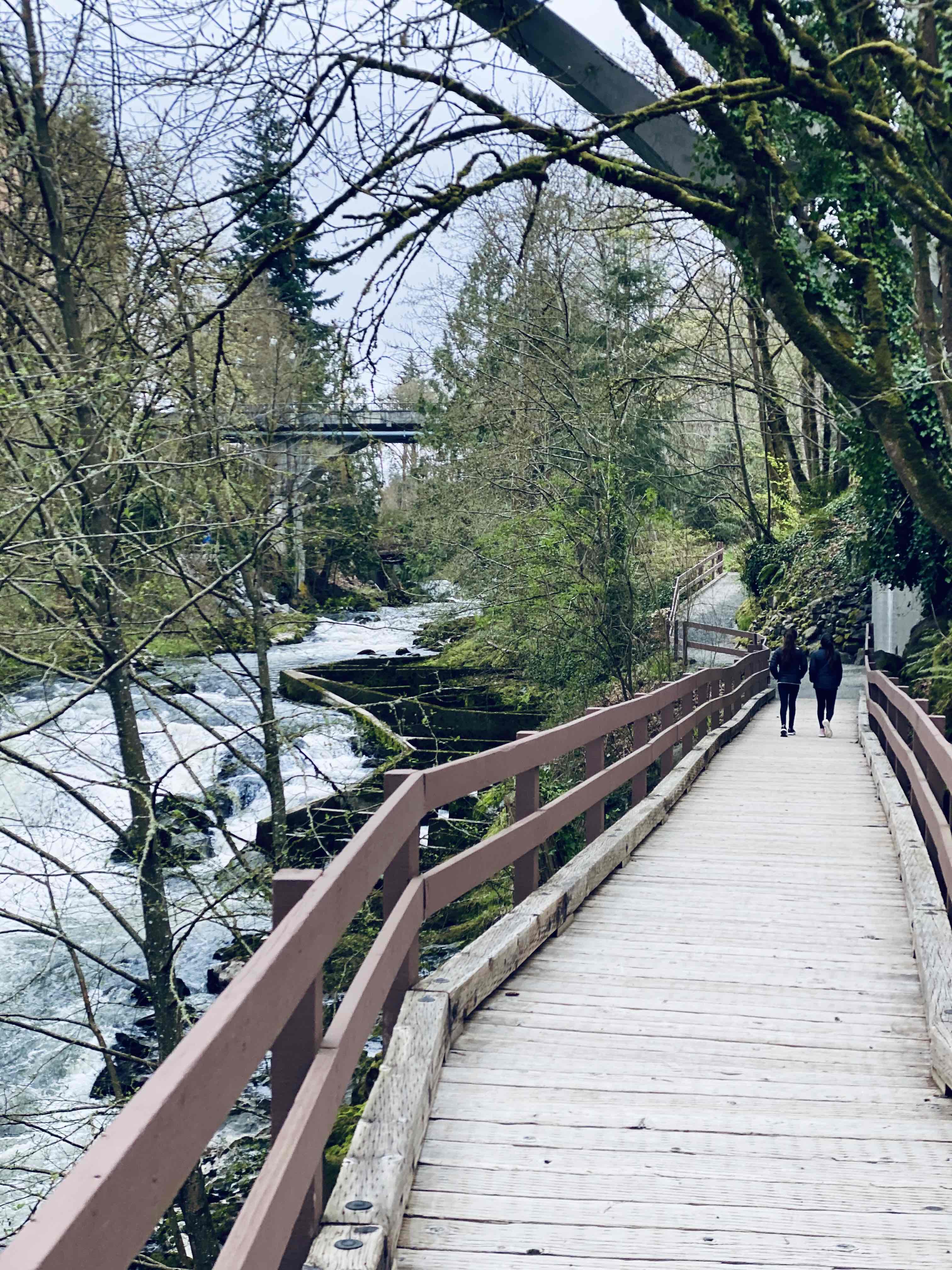 Tumwater Falls Trail