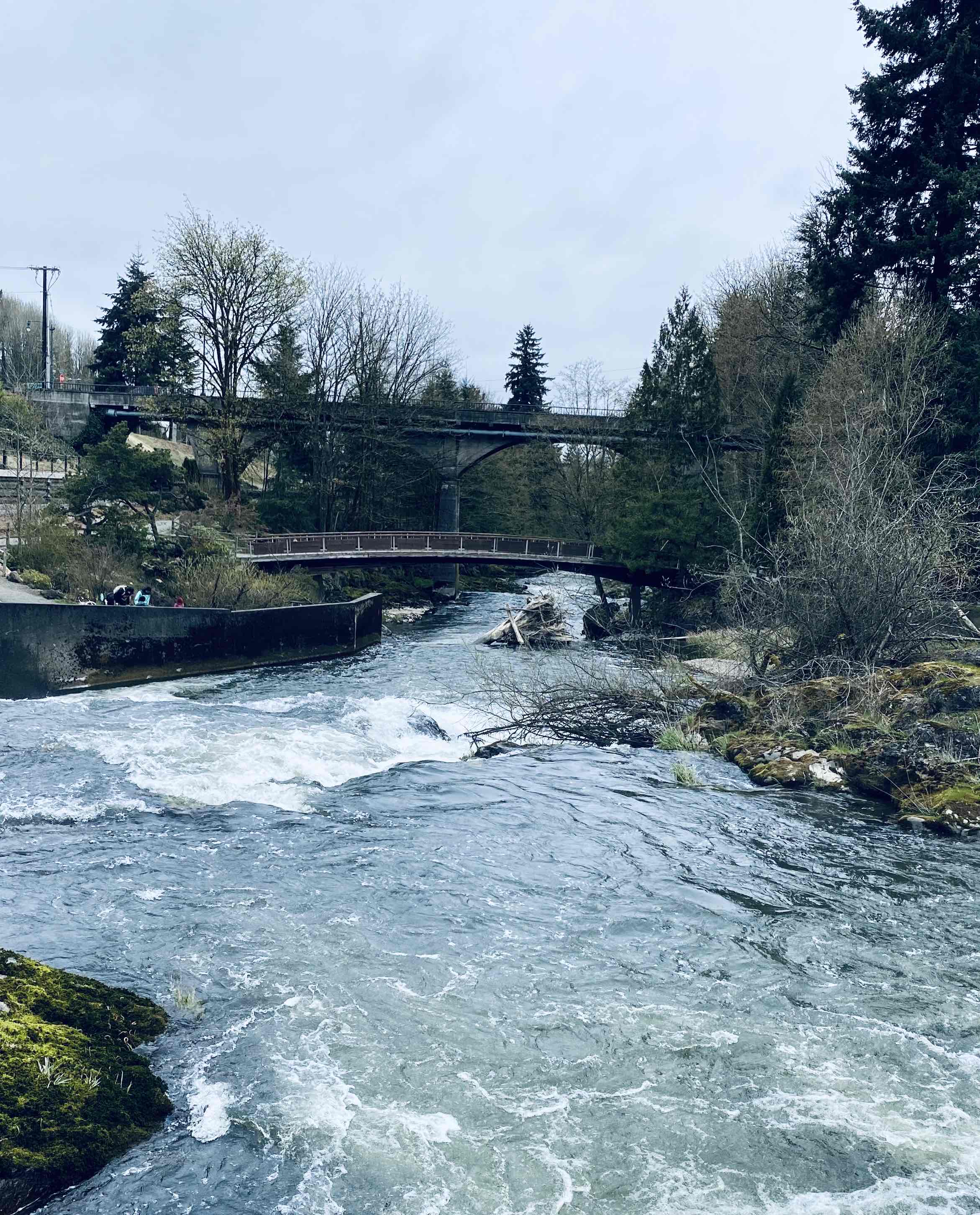 Tumwater Falls Trail