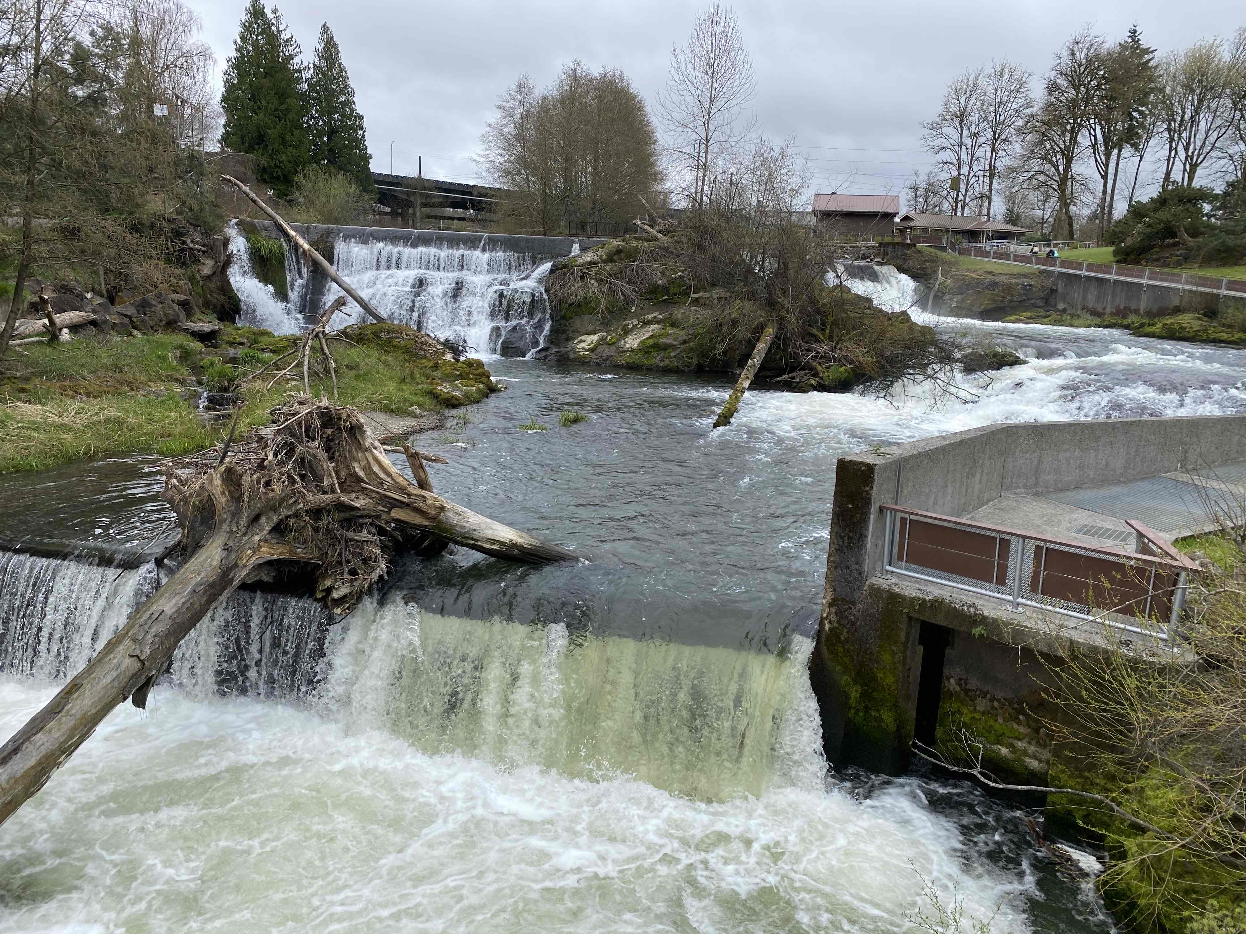 Tumwater Falls Trail