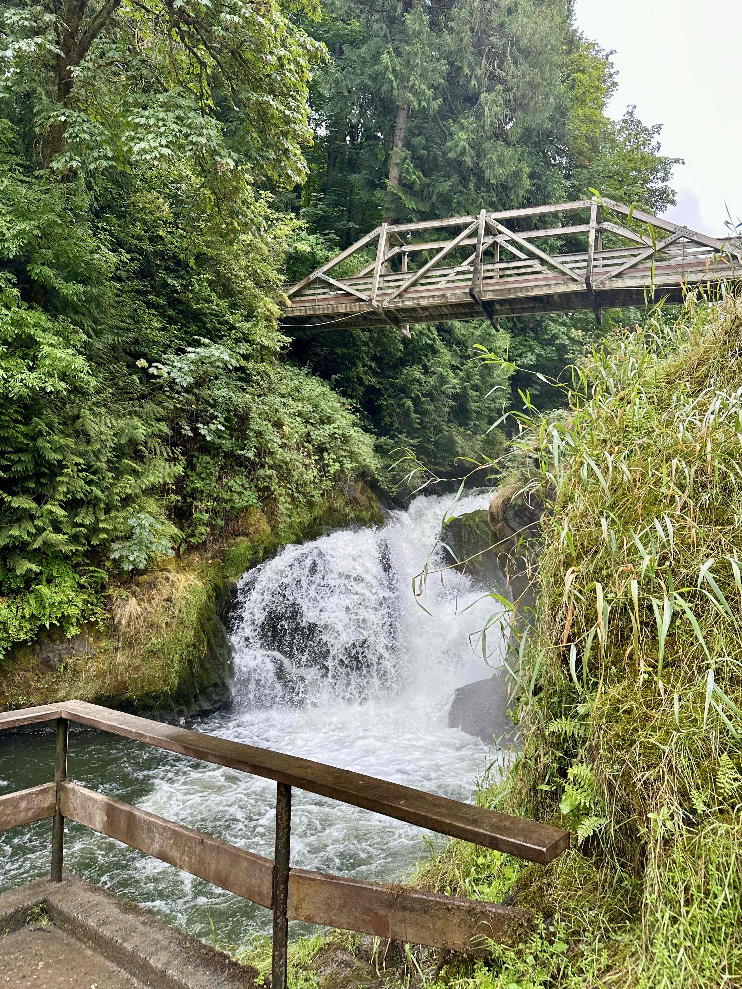 Tumwater Falls Trail