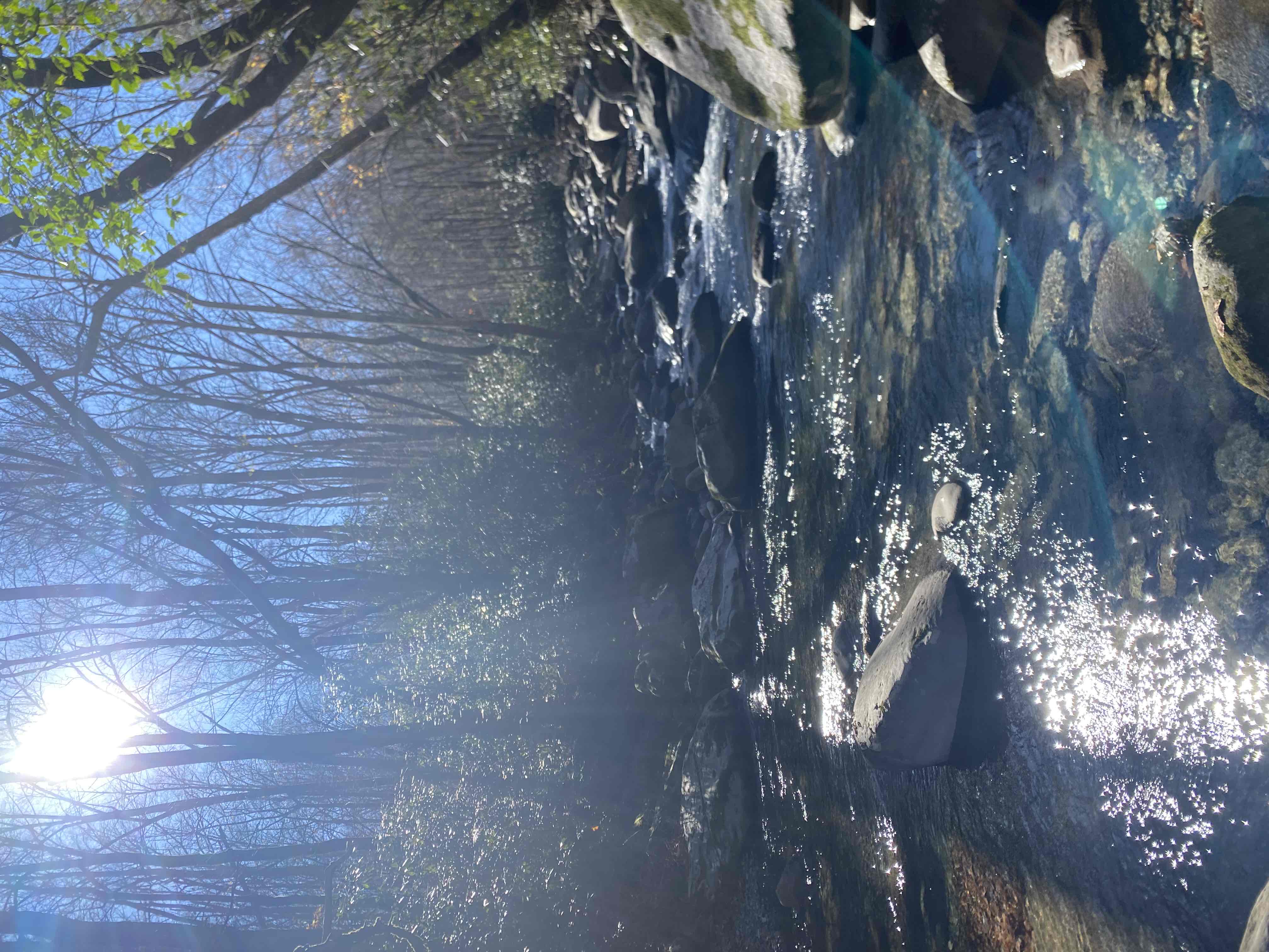 Porters Creek Trail