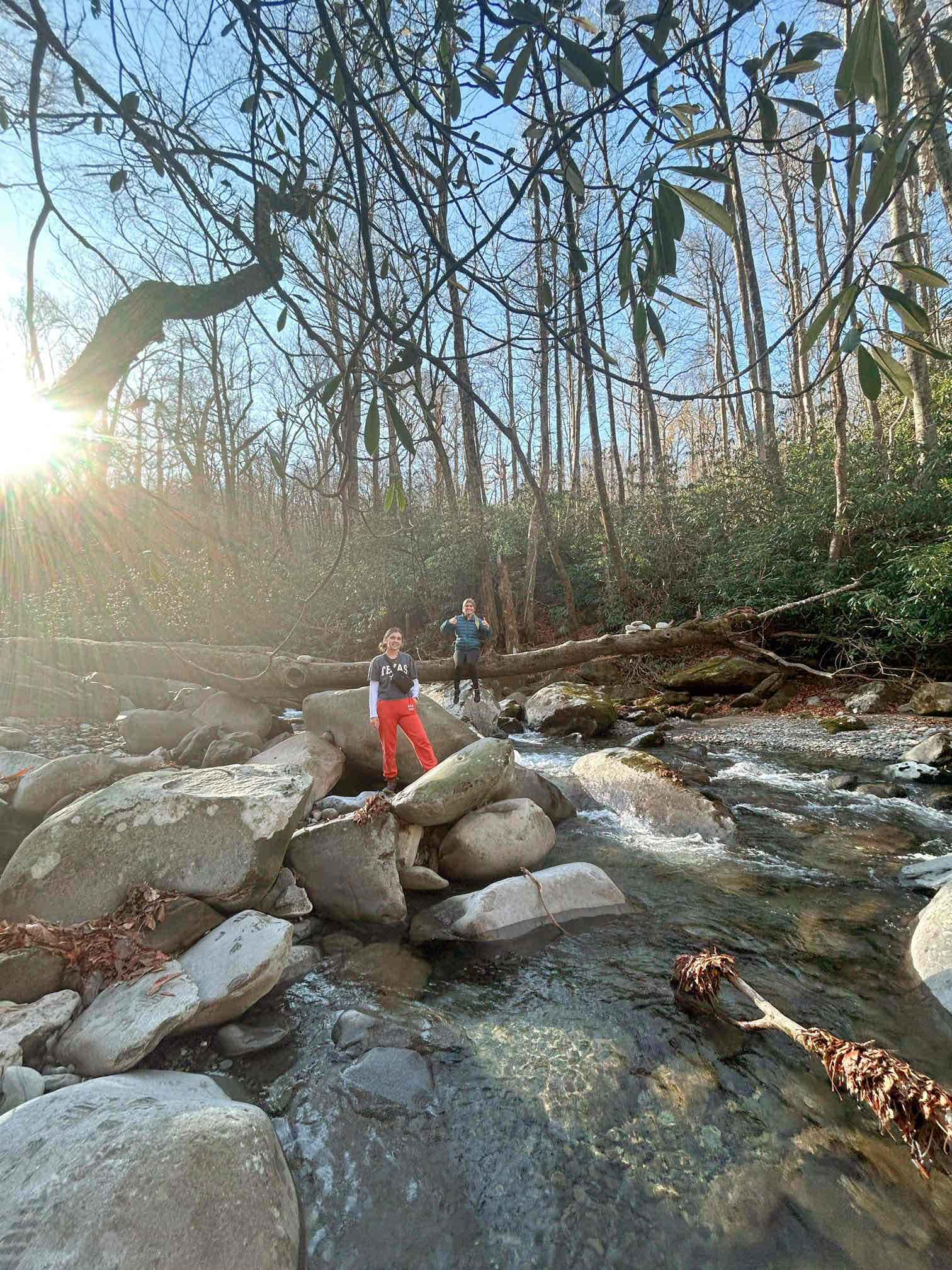 Porters Creek Trail