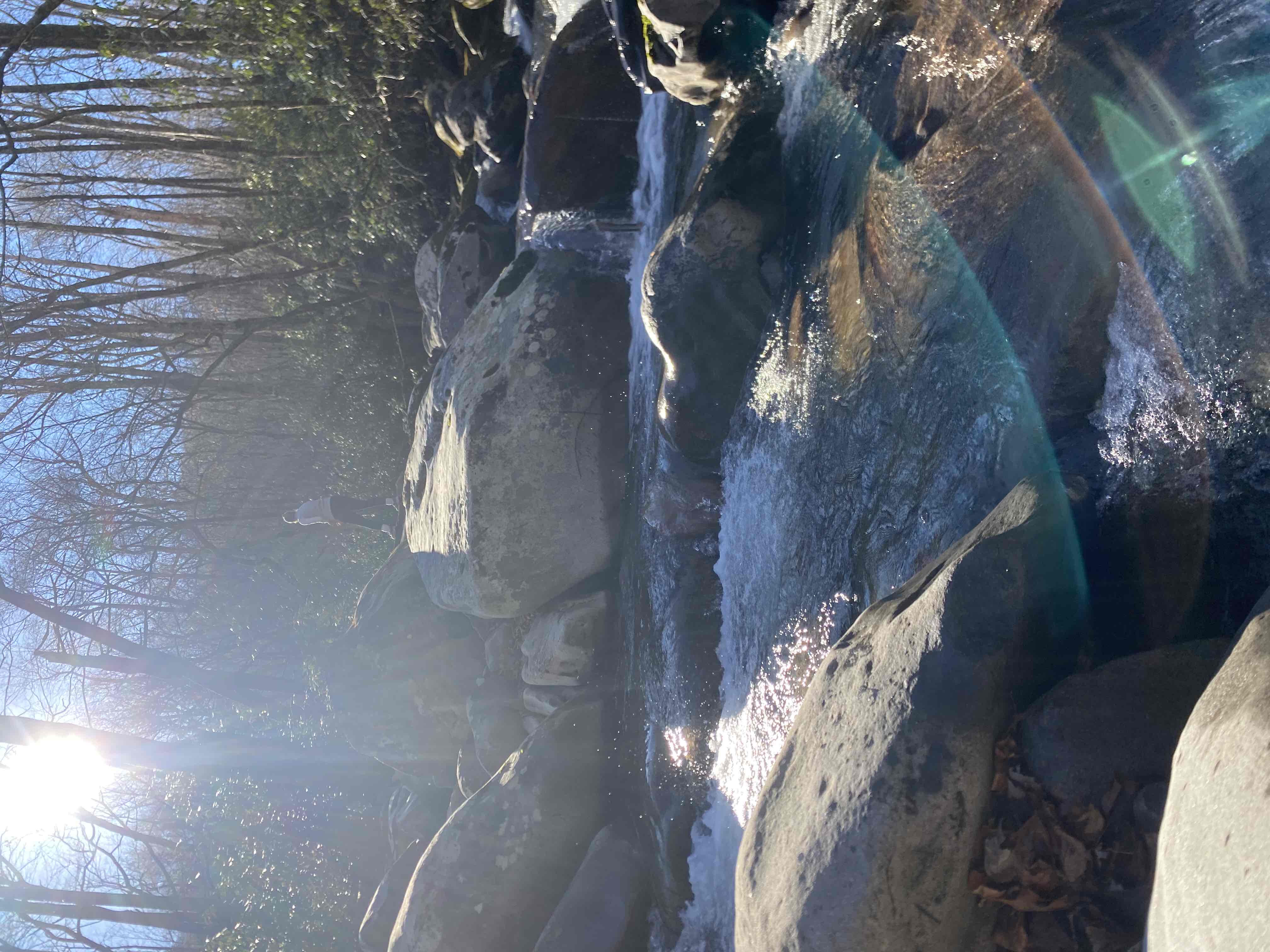 Porters Creek Trail