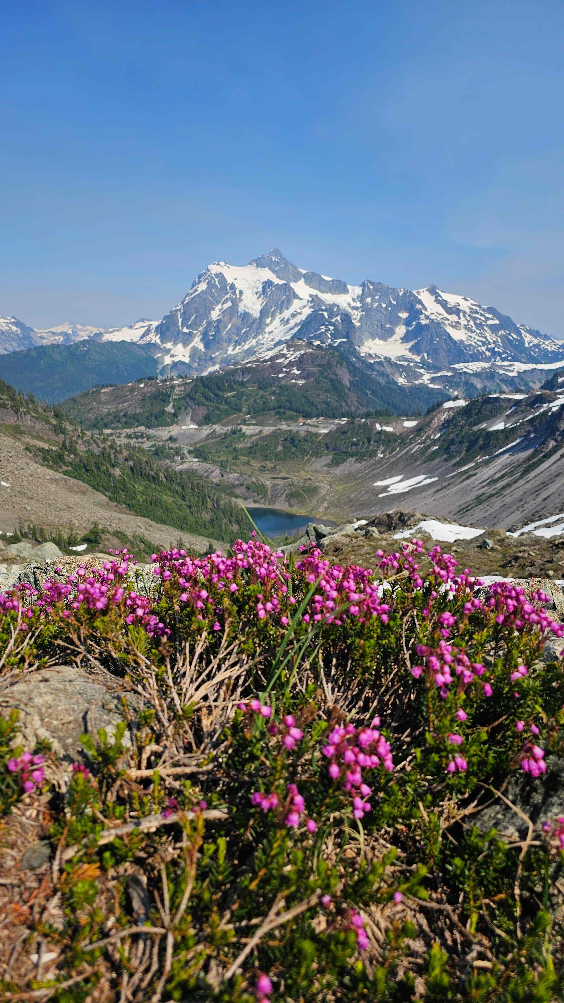 Chain Lakes Loop