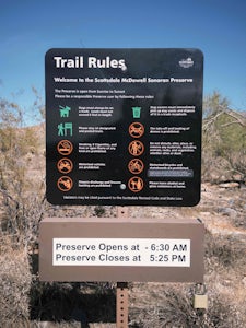 Saguaro Loop and Nature Trail