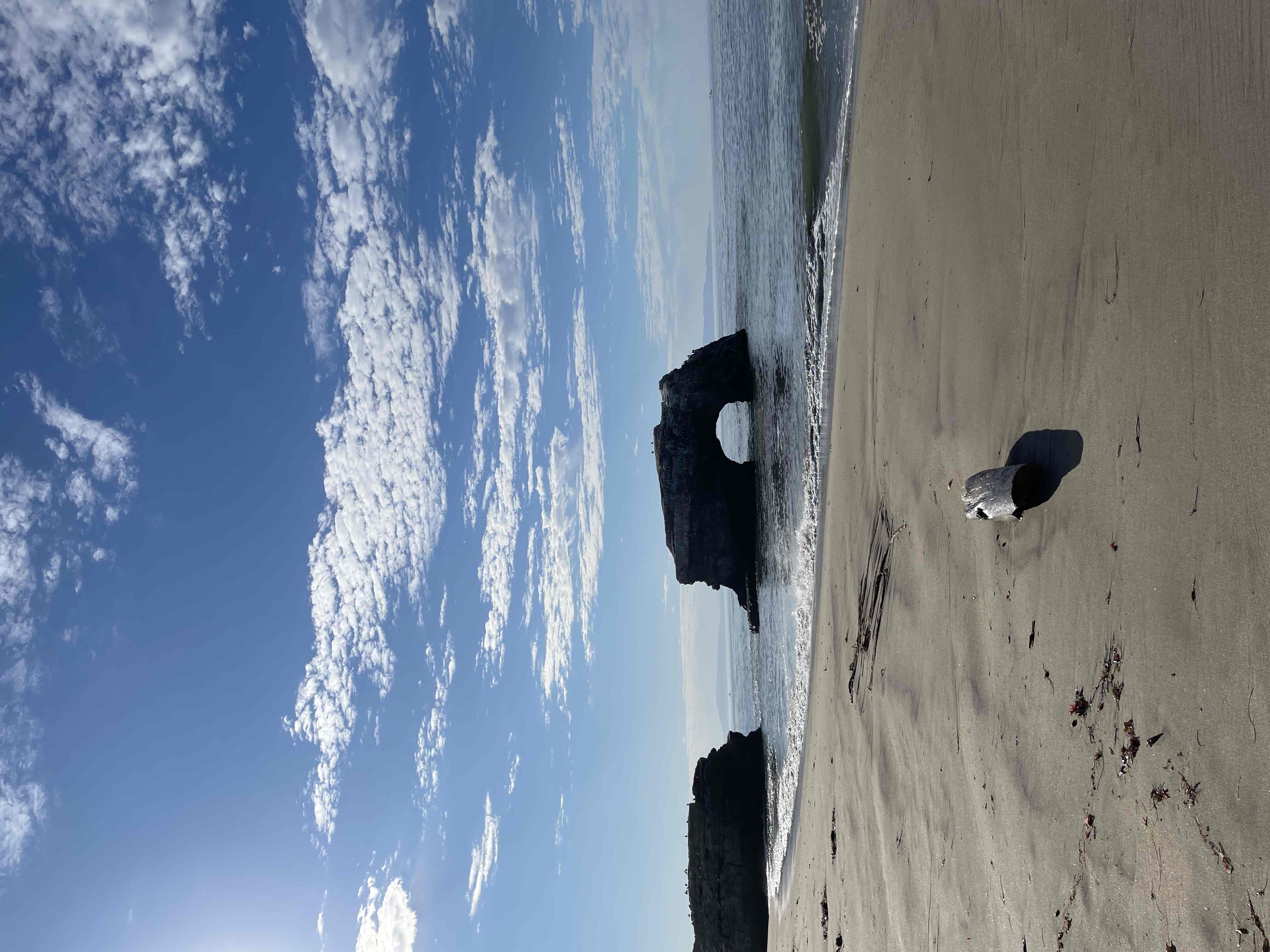 Natural Bridges State Beach