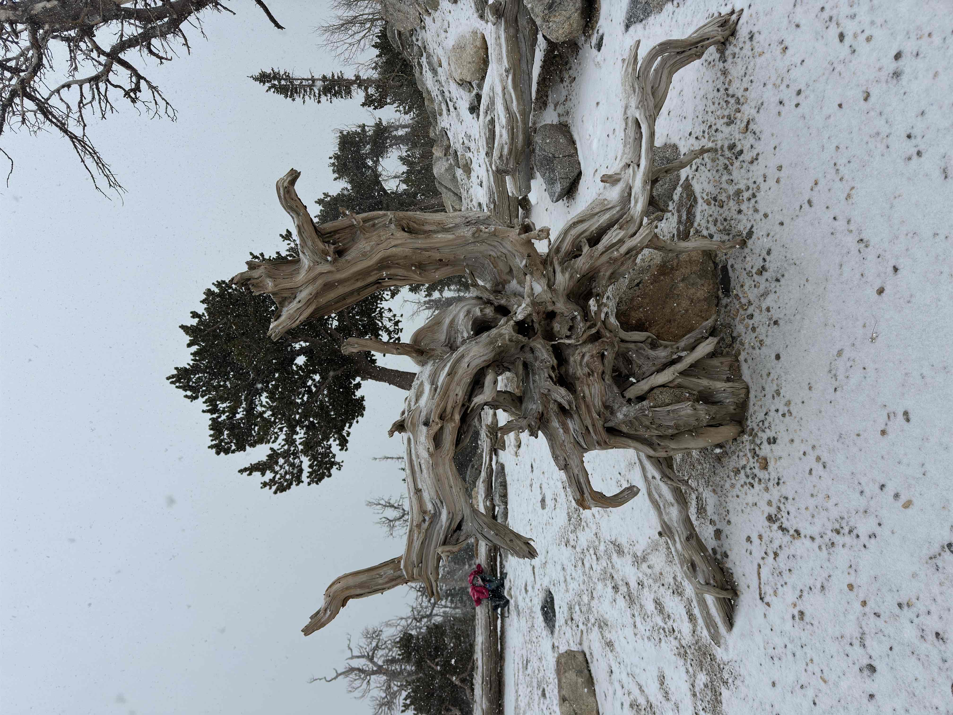 St. Mary's Glacier