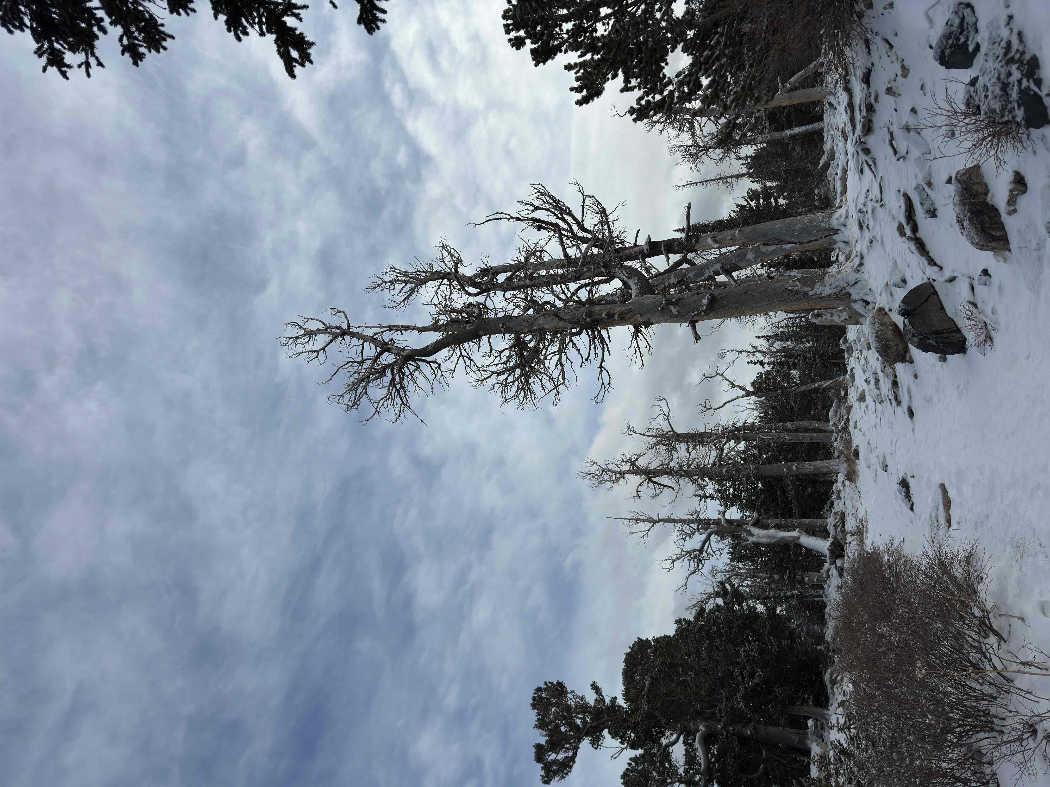 St. Mary's Glacier
