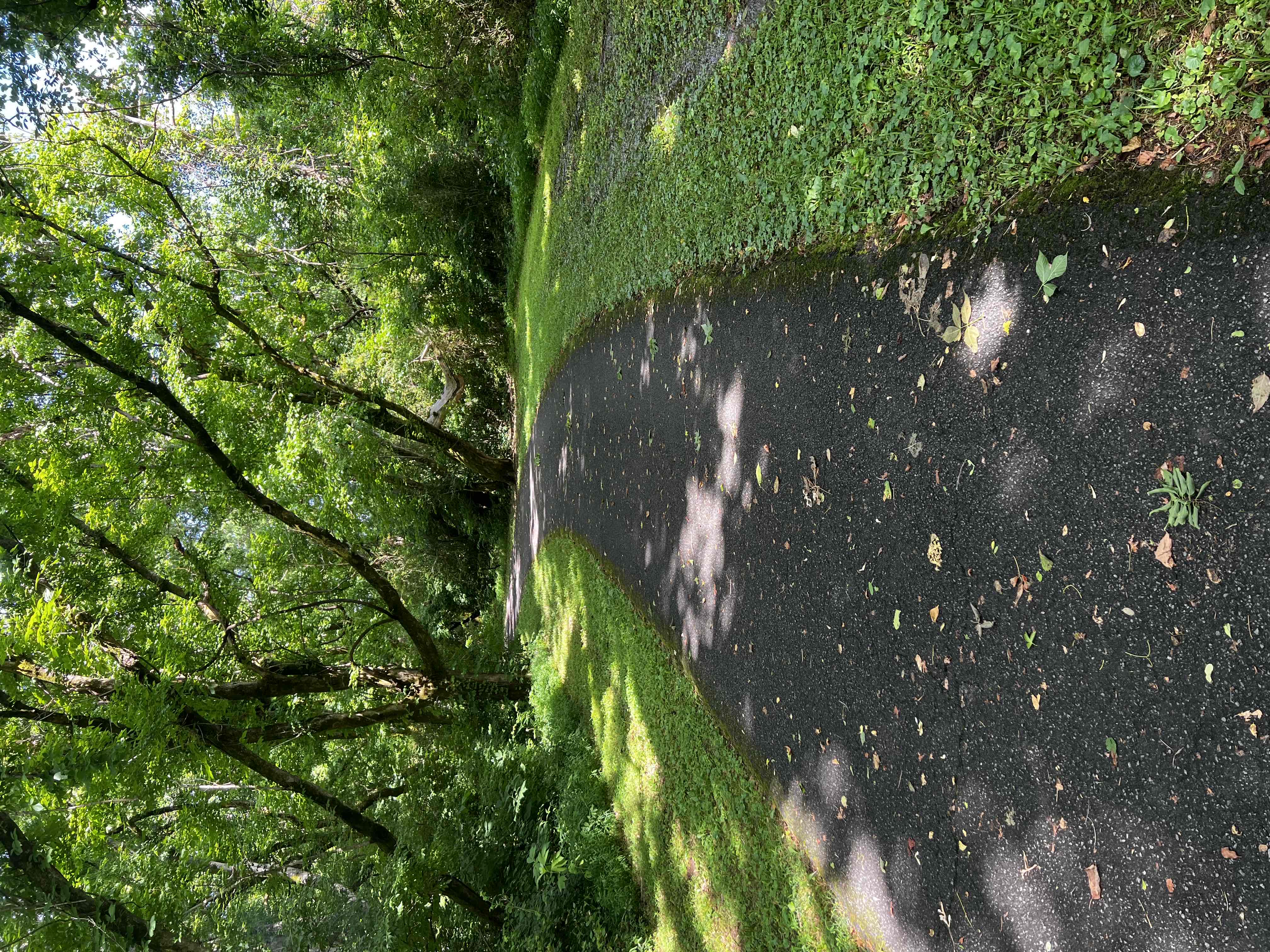 River Boardwalk Trail