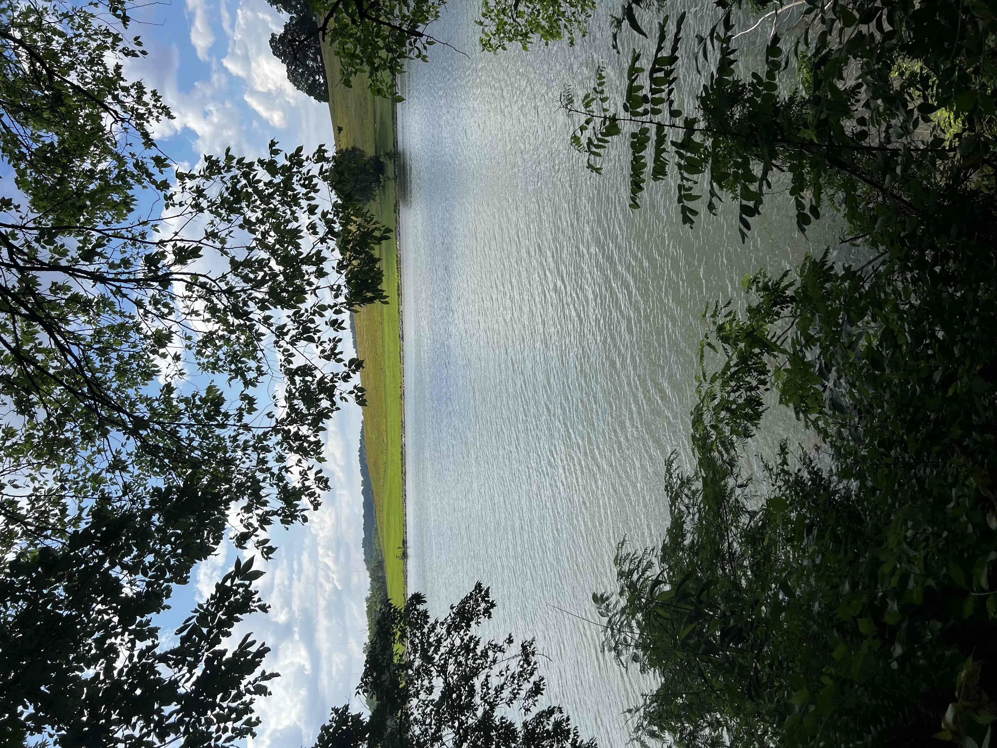 River Boardwalk Trail
