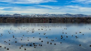 Sloan Lake Loop