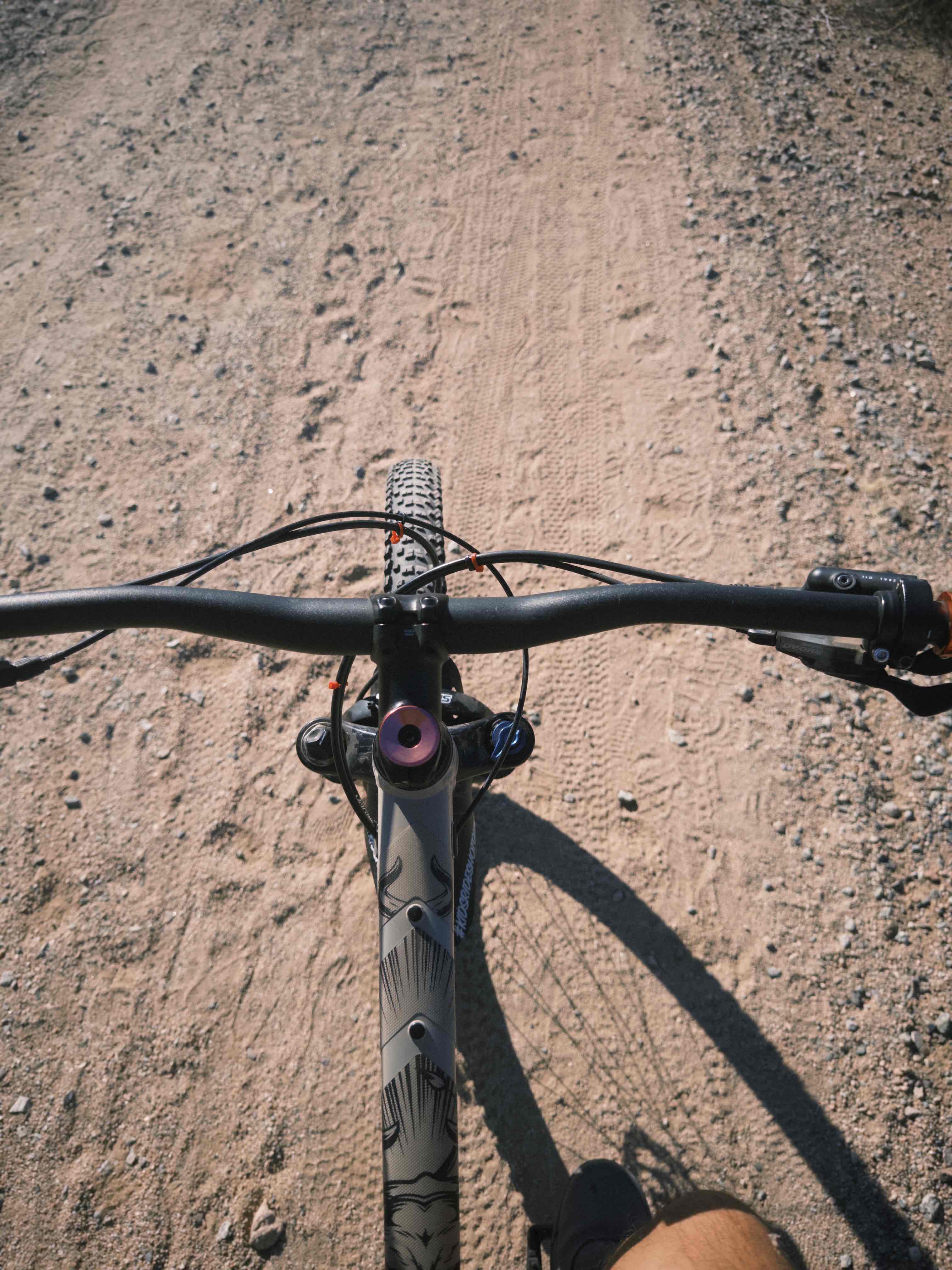 Reach 11 Trail