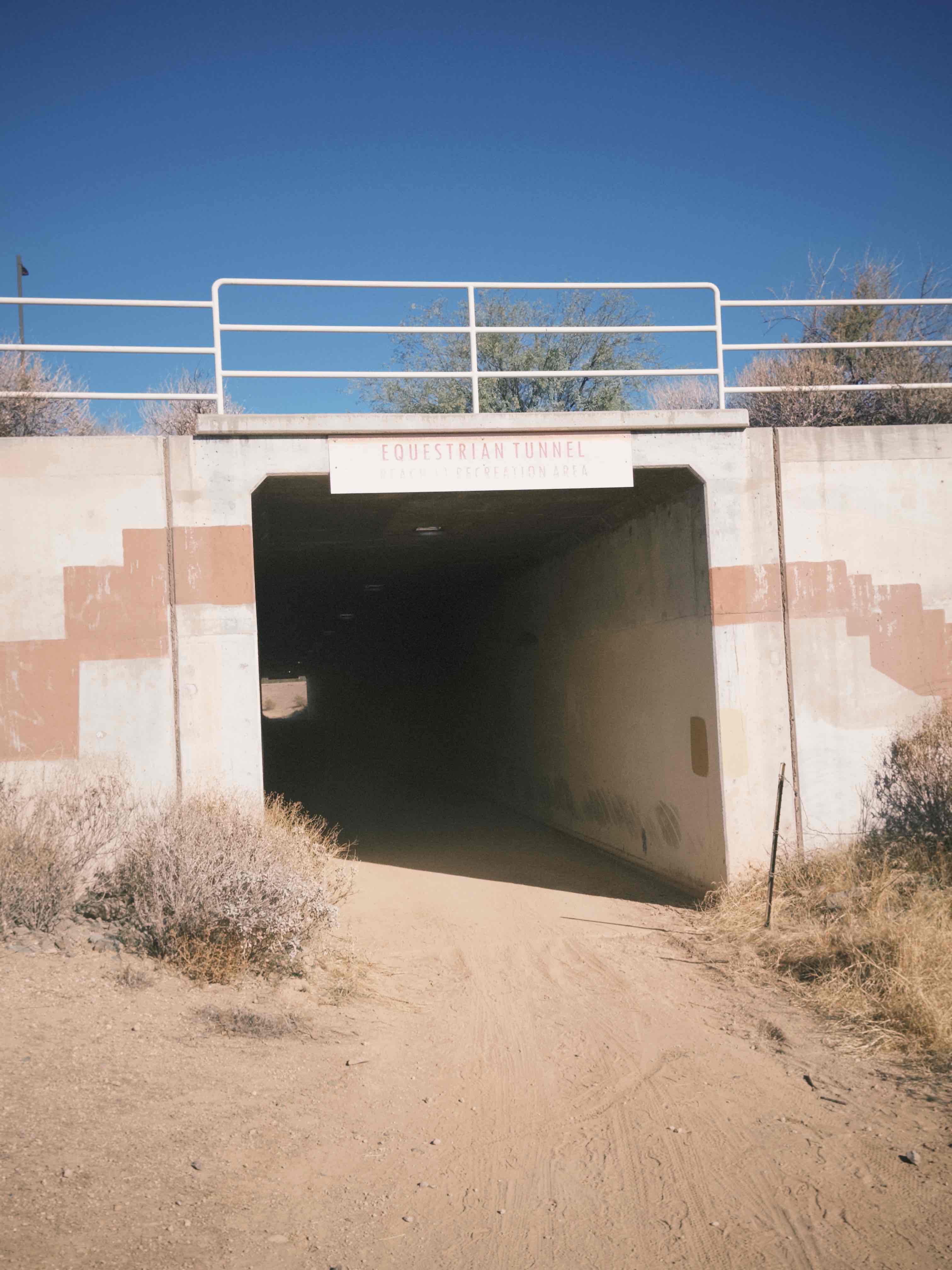 Reach 11 Trail