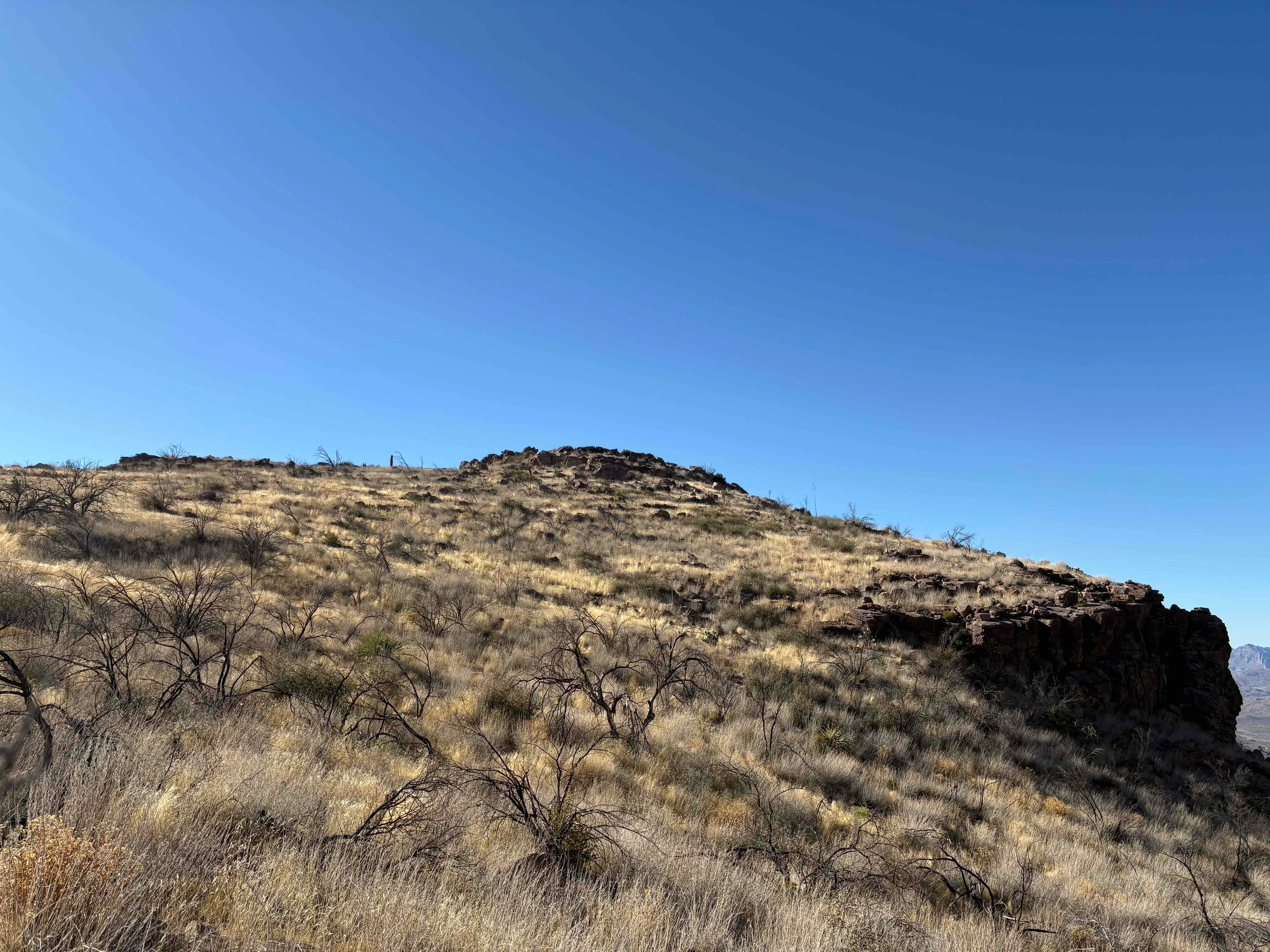 Picketpost Mountain Trail