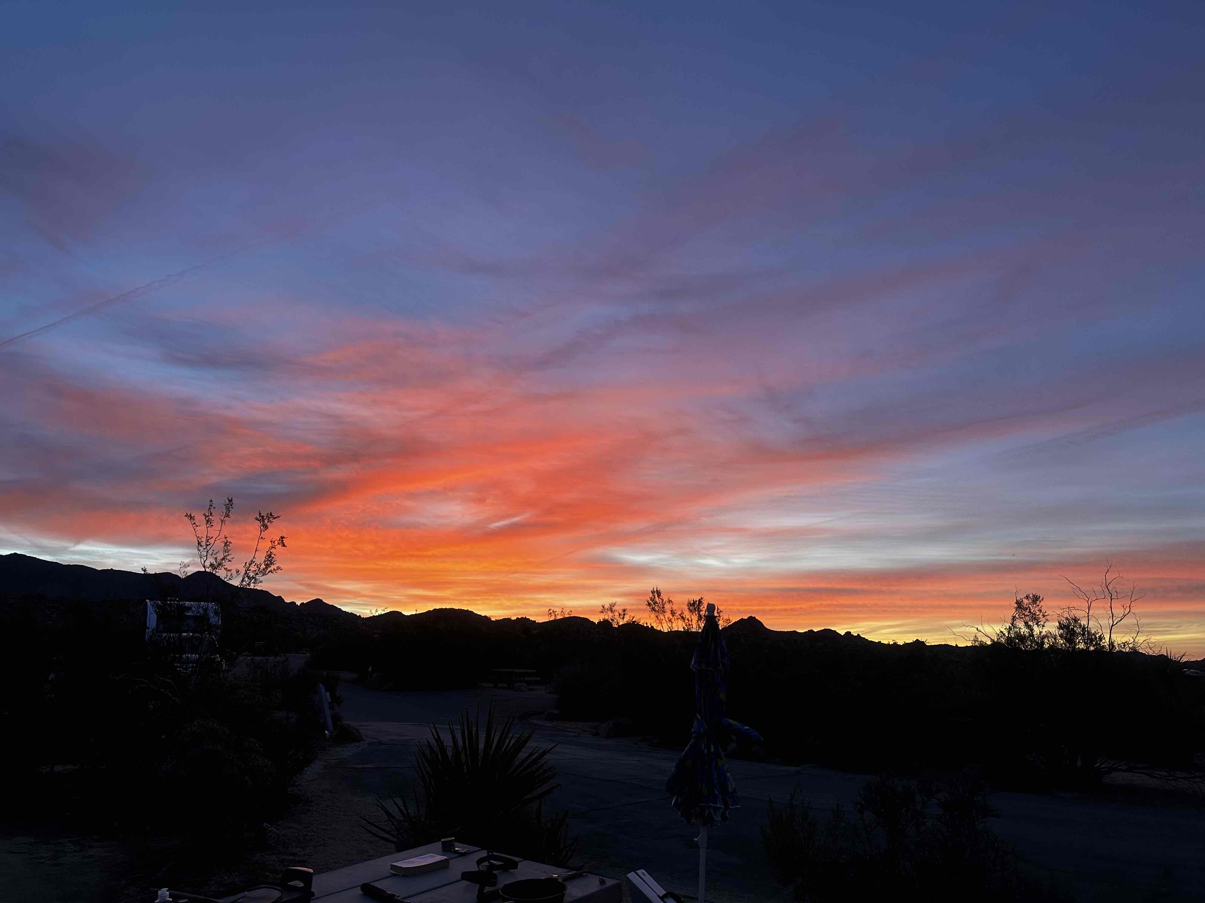 Camp at Cottonwood Campground in Joshua Tree NP