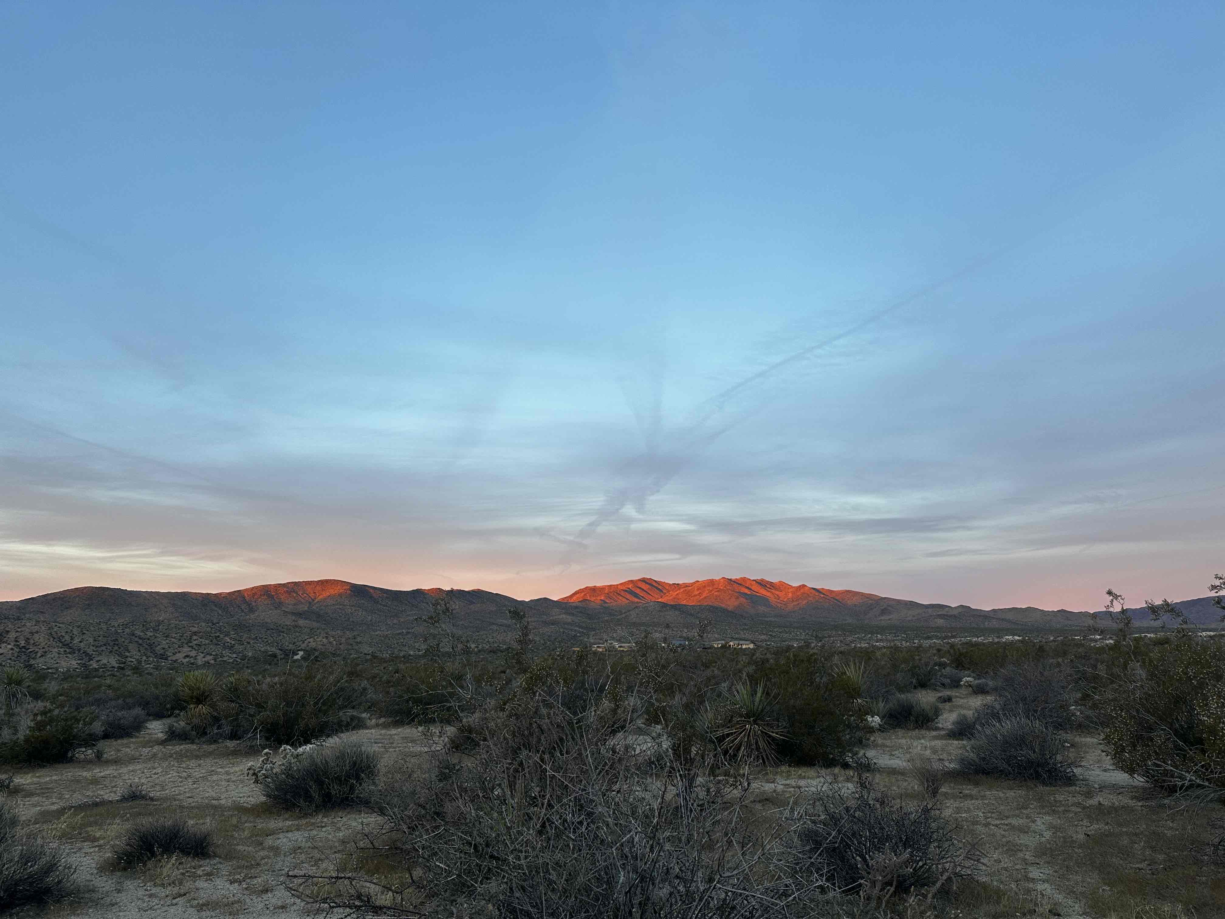 Camp at Cottonwood Campground in Joshua Tree NP