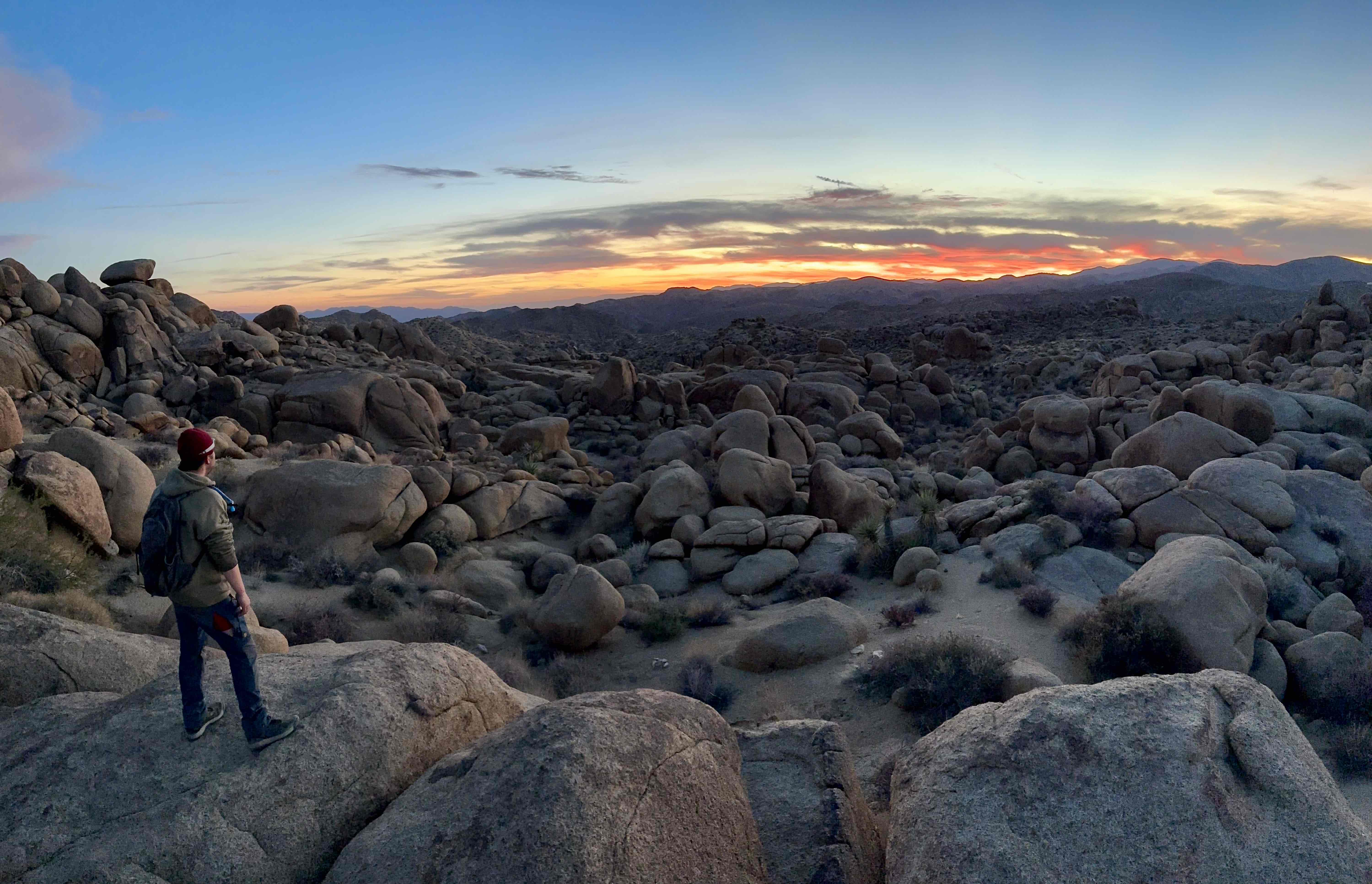 Camp at Cottonwood Campground in Joshua Tree NP