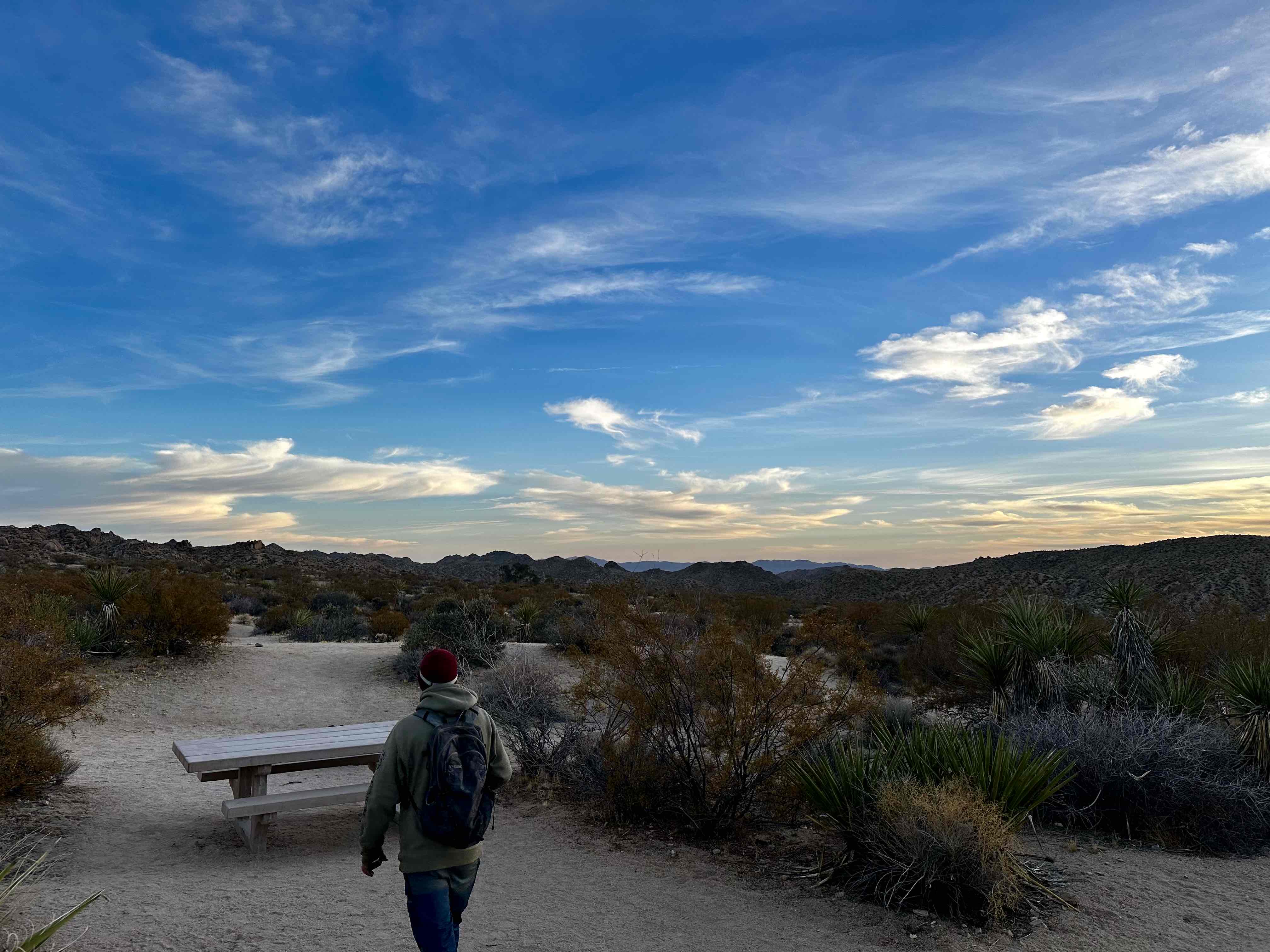 Camp at Cottonwood Campground in Joshua Tree NP