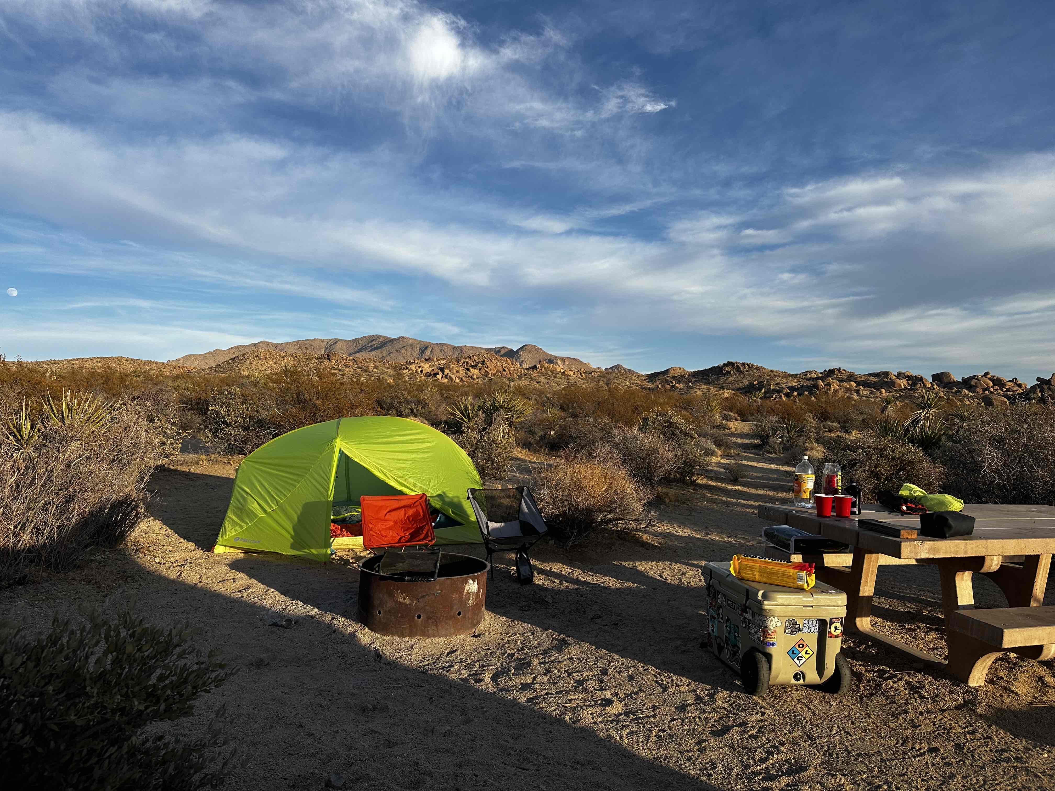 Camp at Cottonwood Campground in Joshua Tree NP
