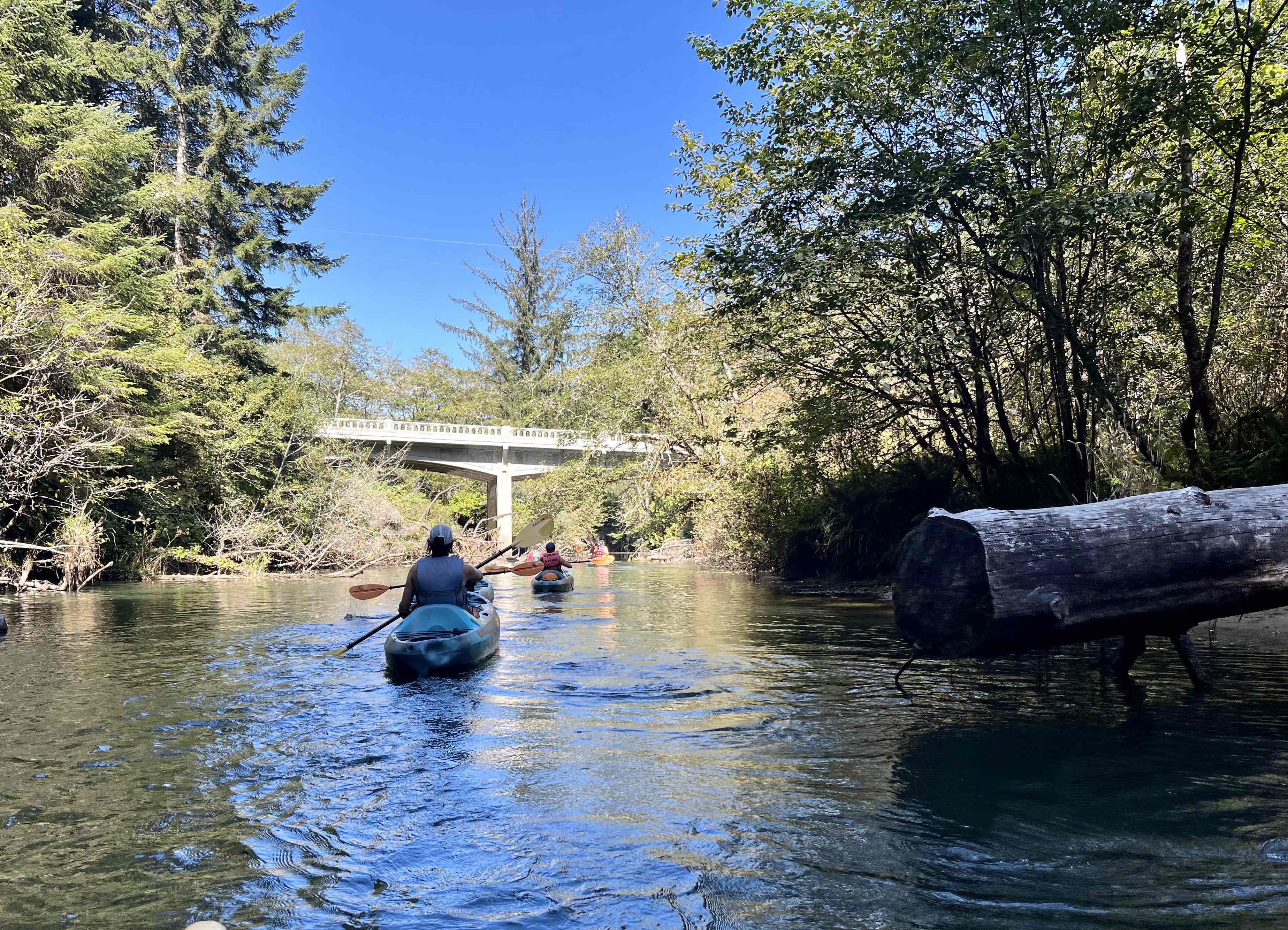 Siltcoos River Trail