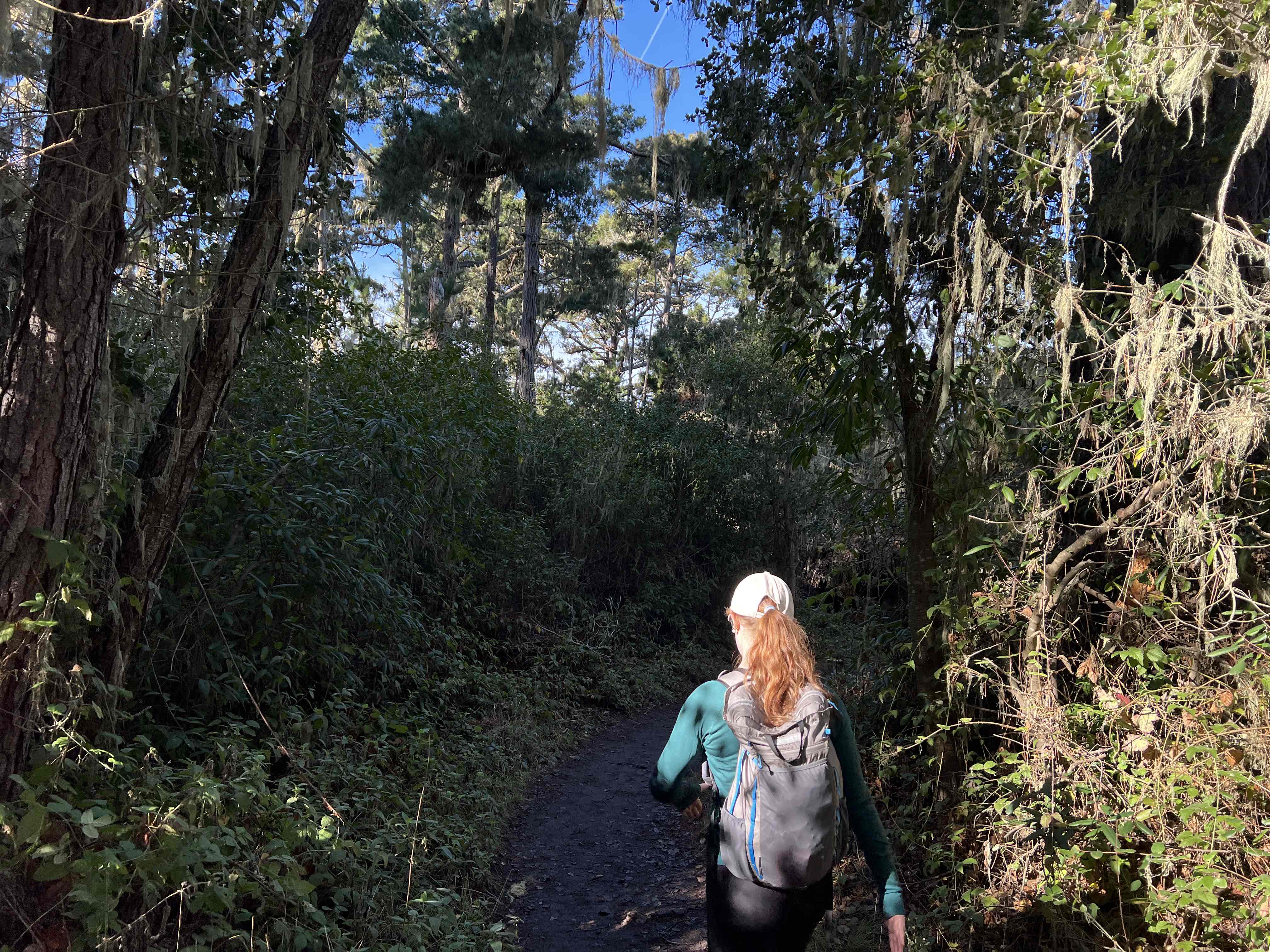 South Plateau Trail to Bird Island