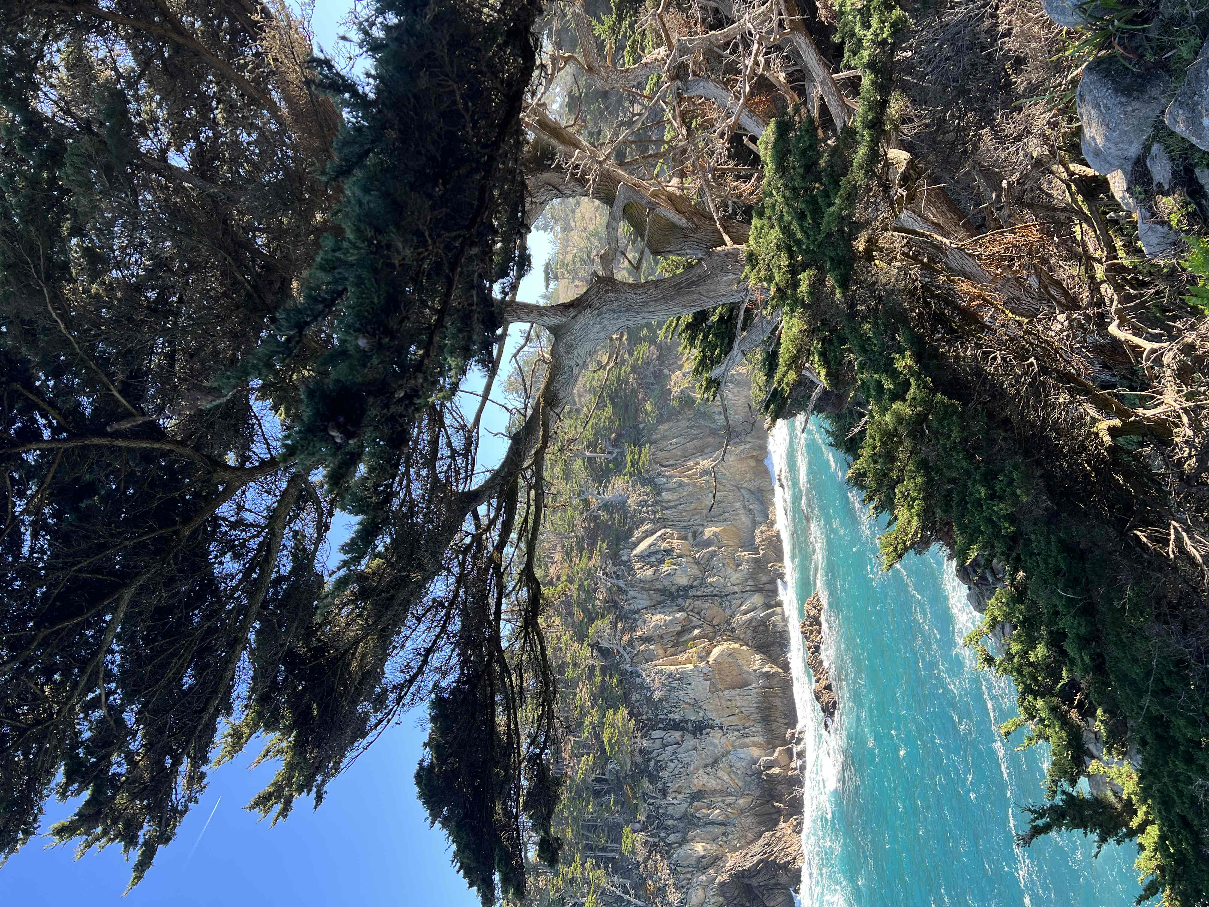 Cypress Grove Trail