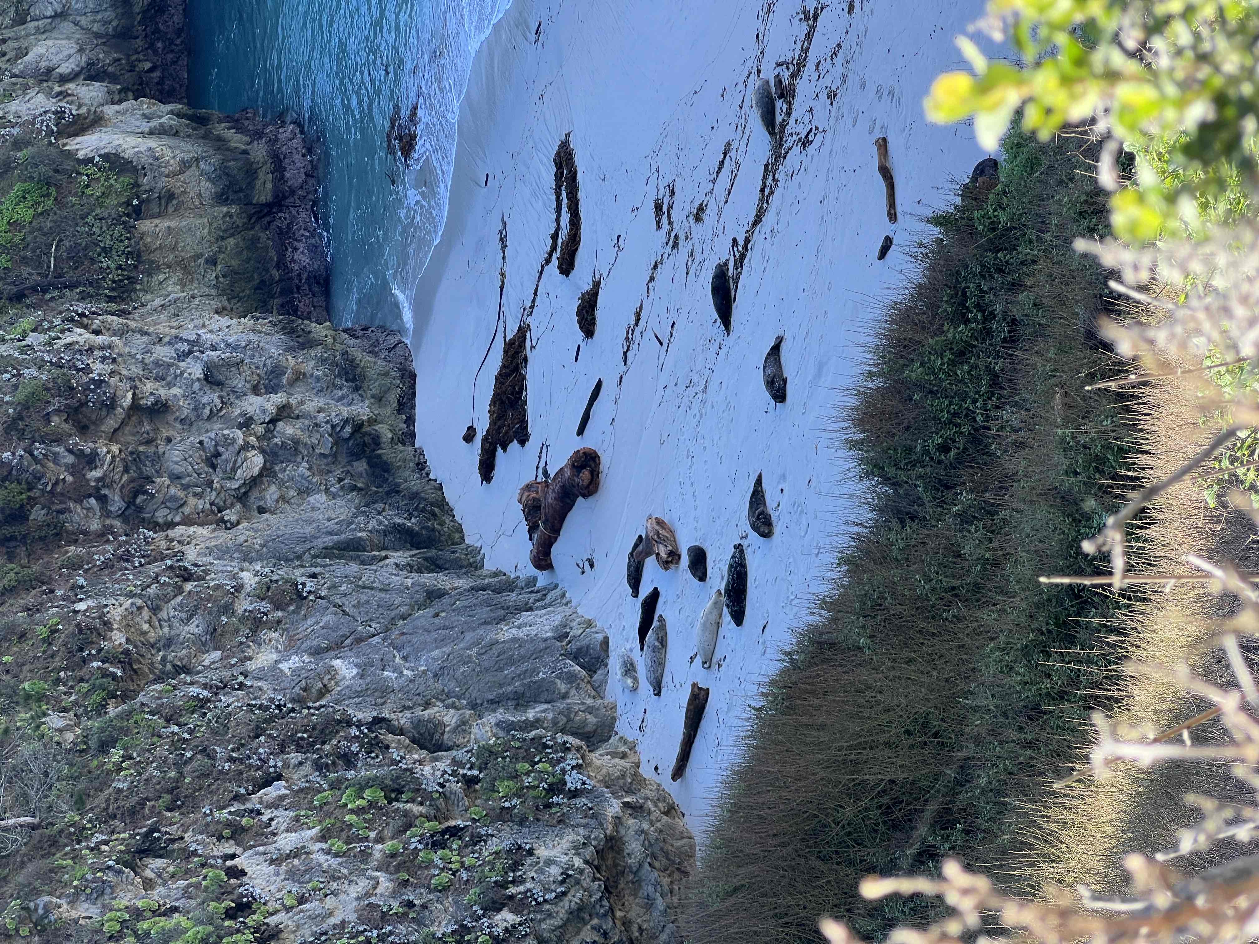 South Plateau Trail to Bird Island