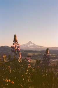 Hood River Mountain Loop