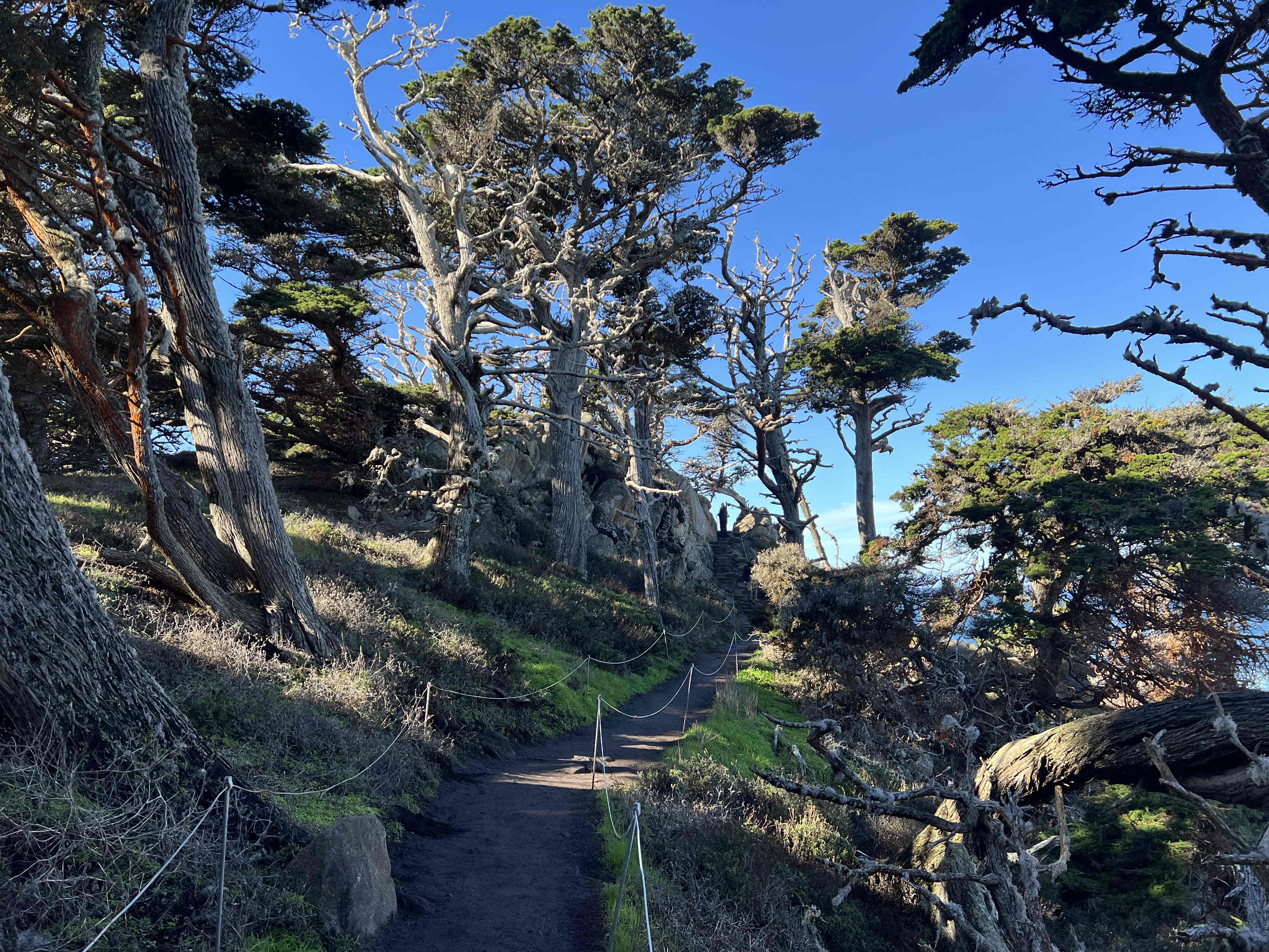 Cypress Grove Trail