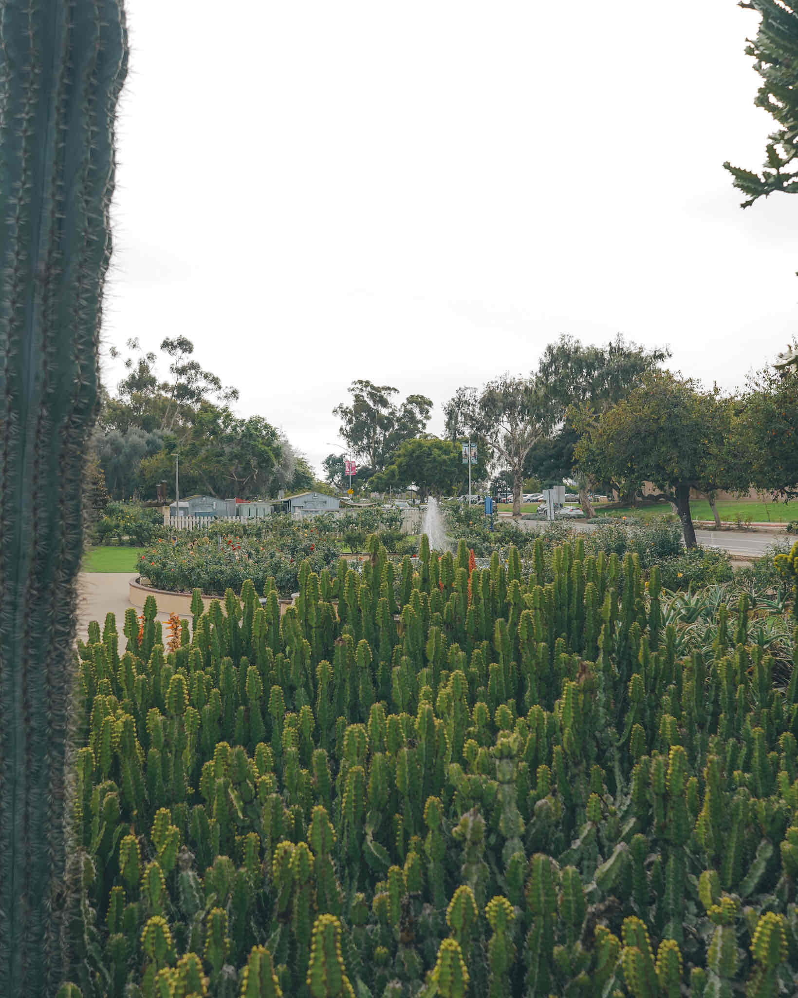 Balboa Park Gardens Loop