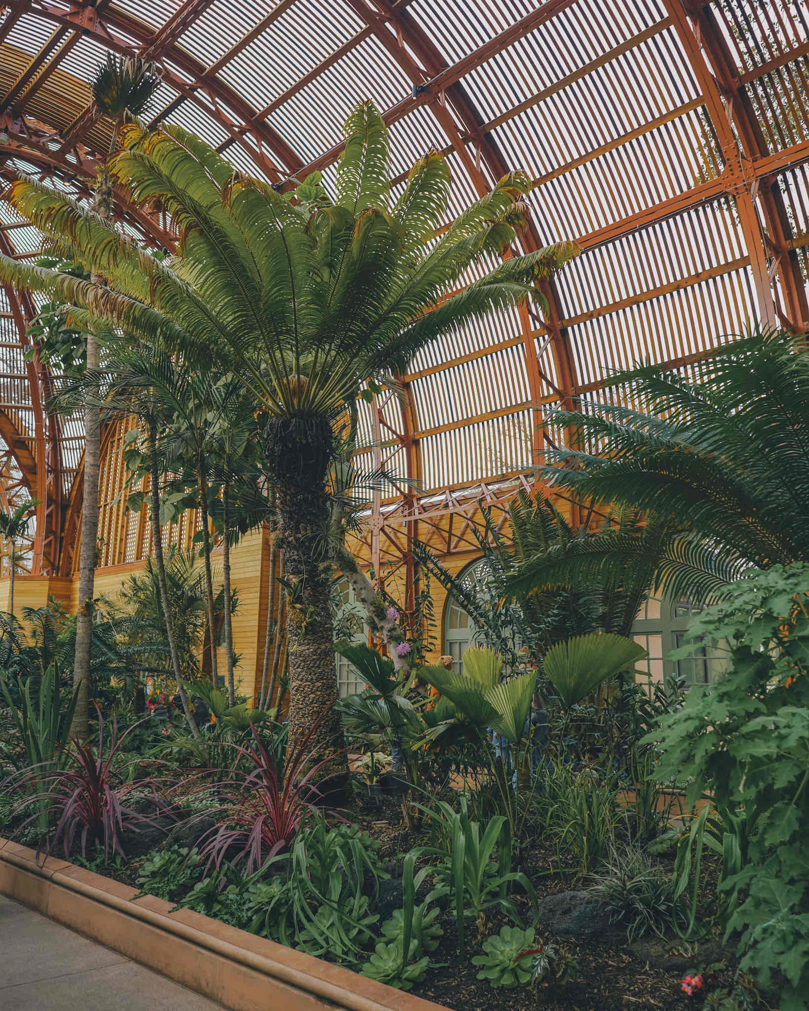 Balboa Park Gardens Loop