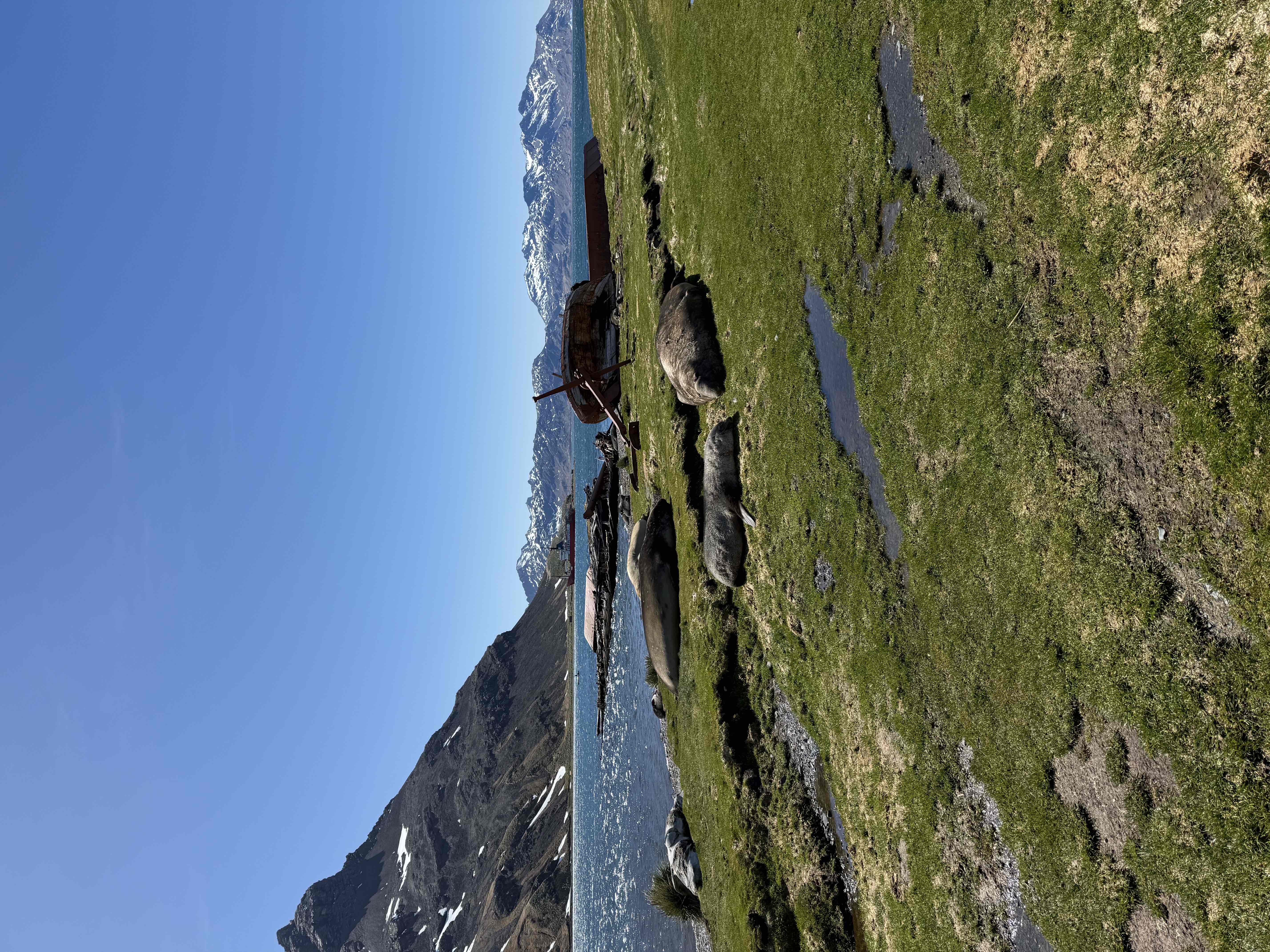 Grytviken Cemetery