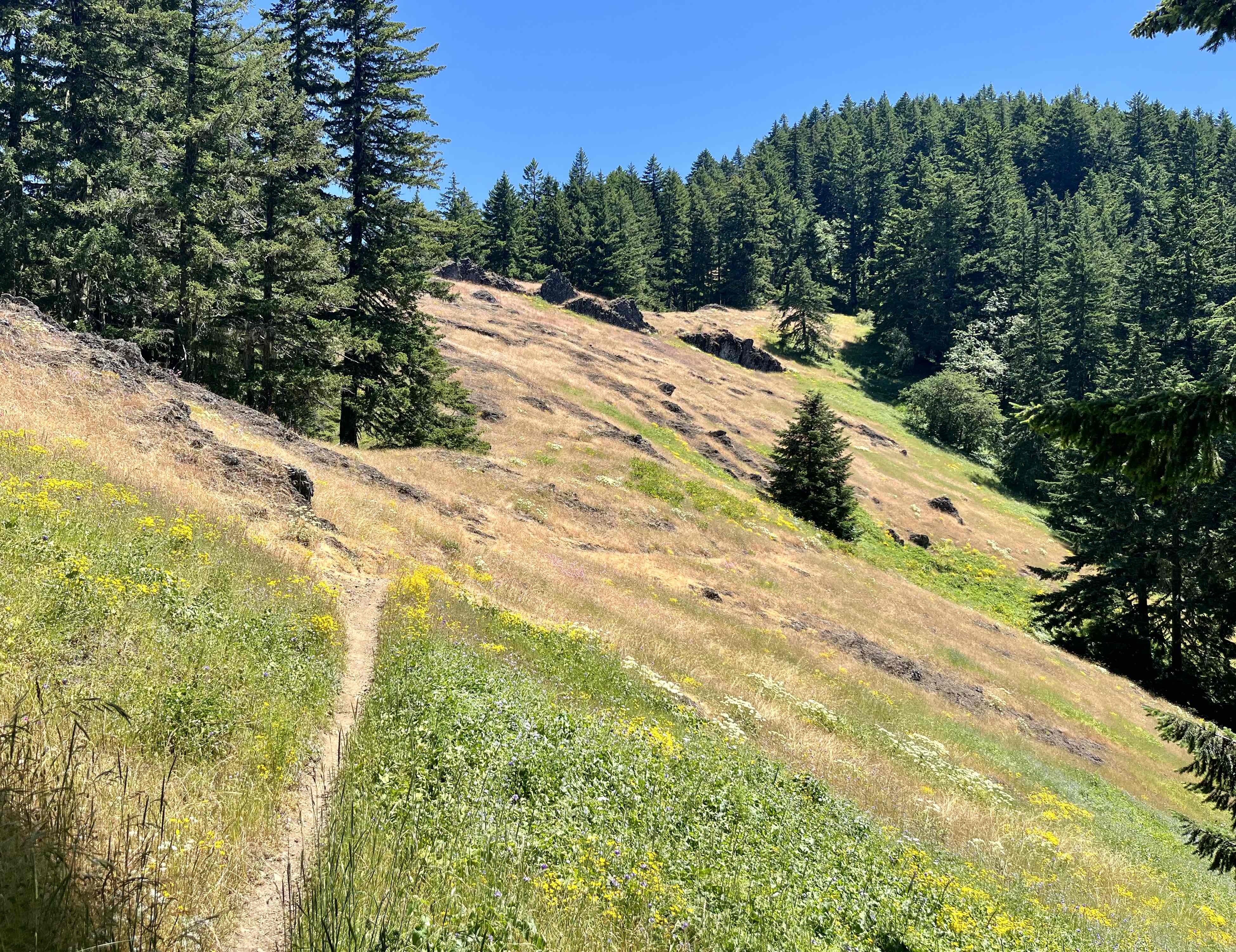 Tire Mountain Trail