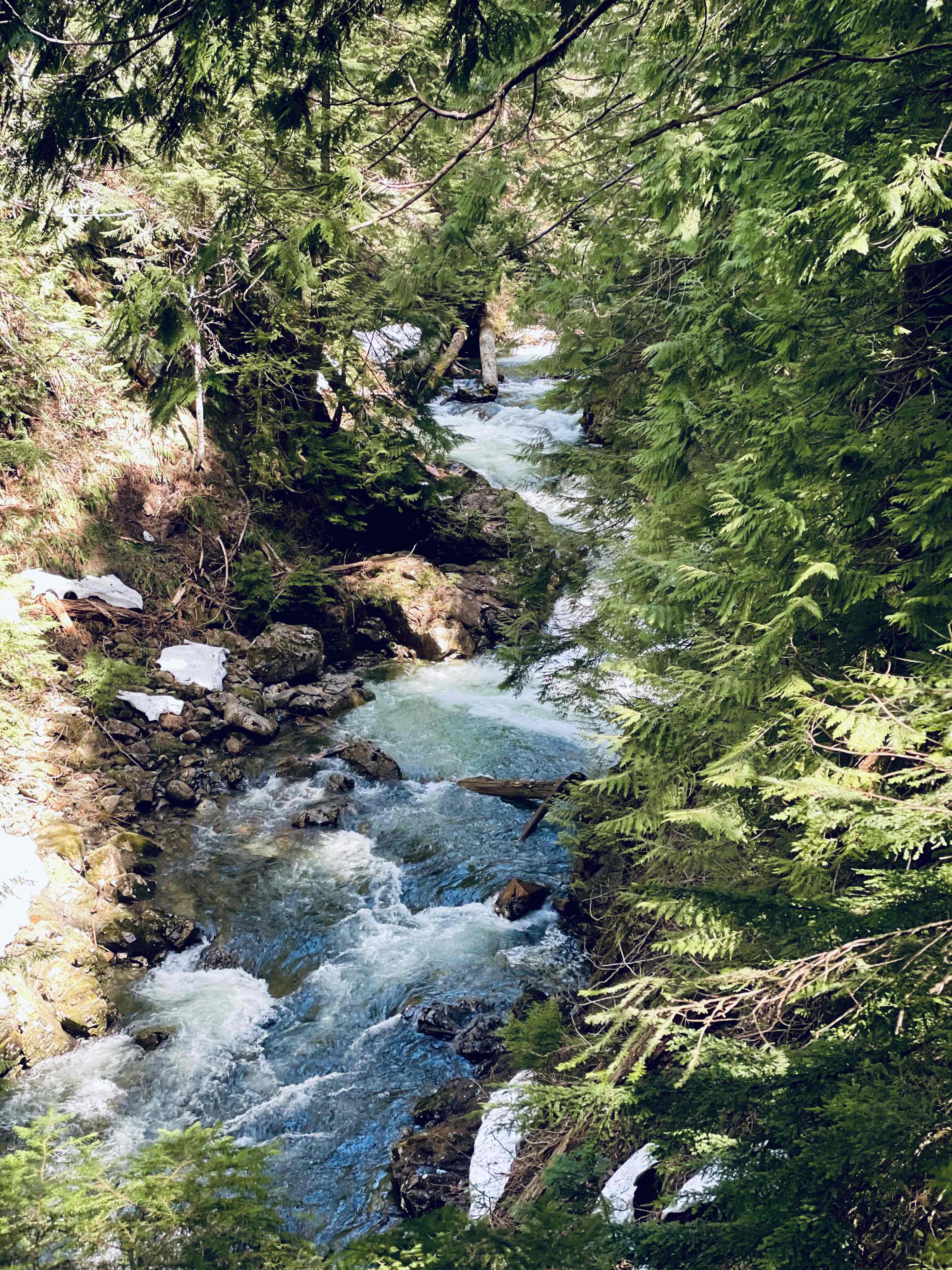Franklin Falls Trail