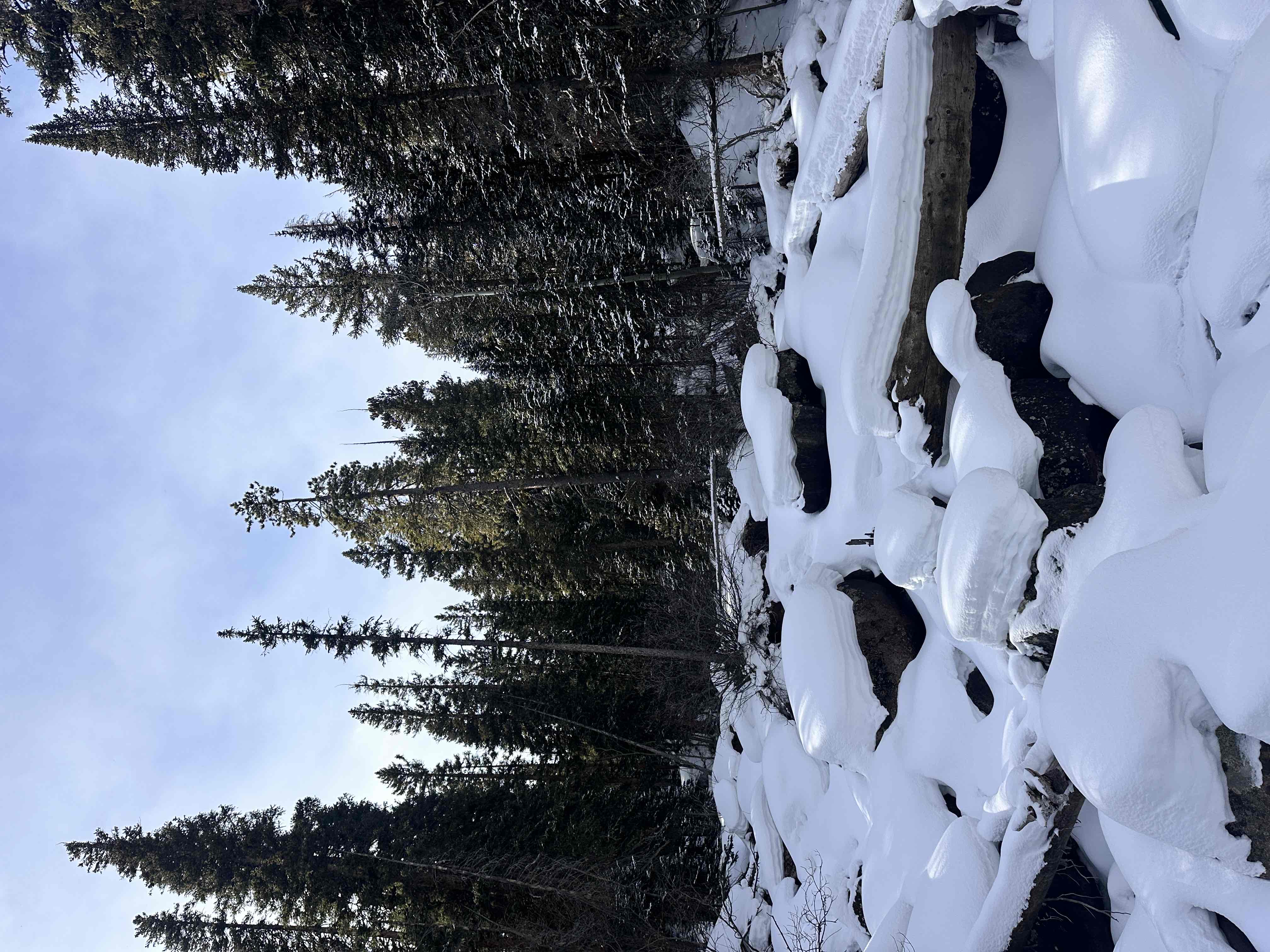 Ouzel Falls