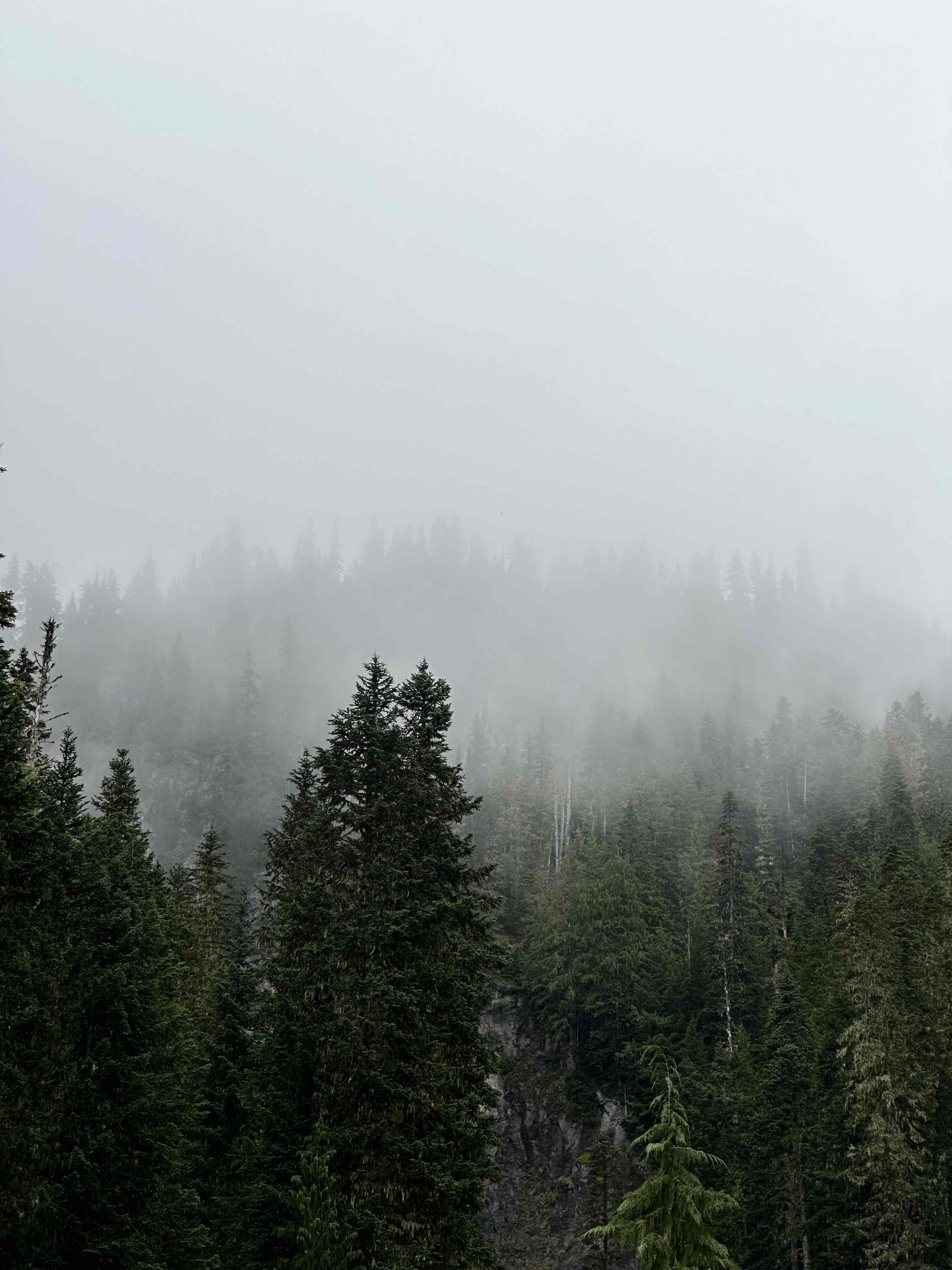 Comet Falls 