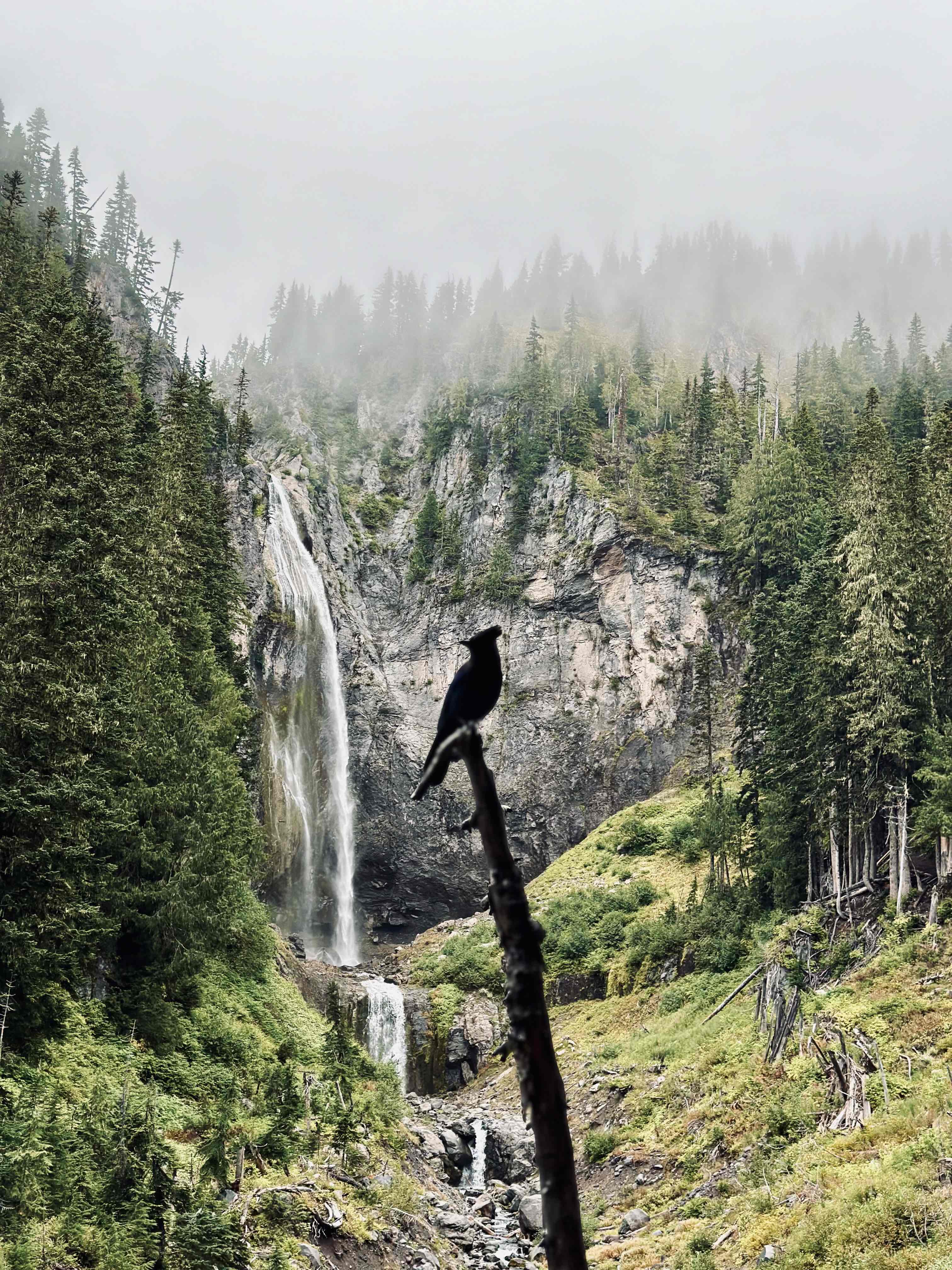 Comet Falls 