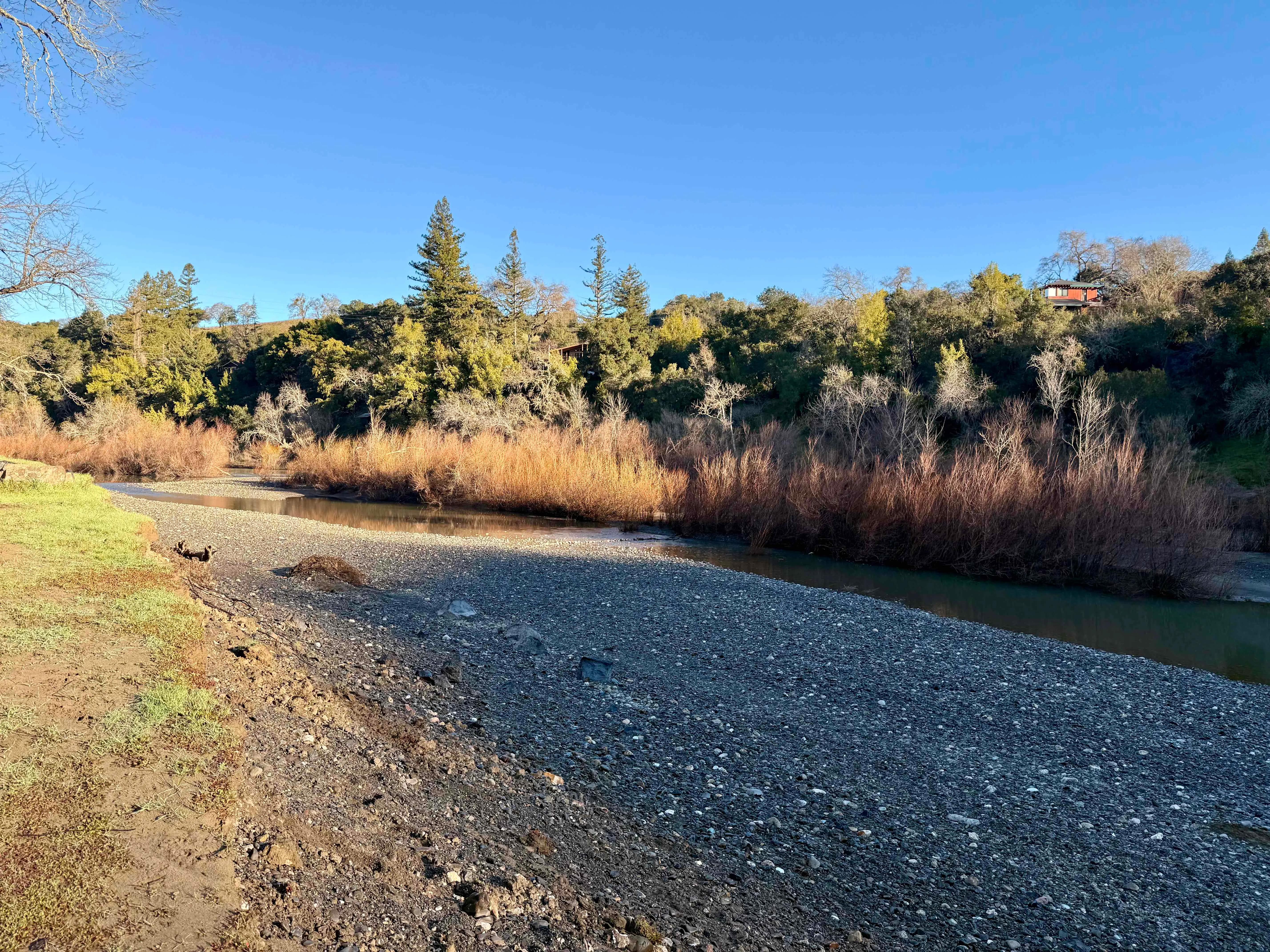 Del Rio Woods