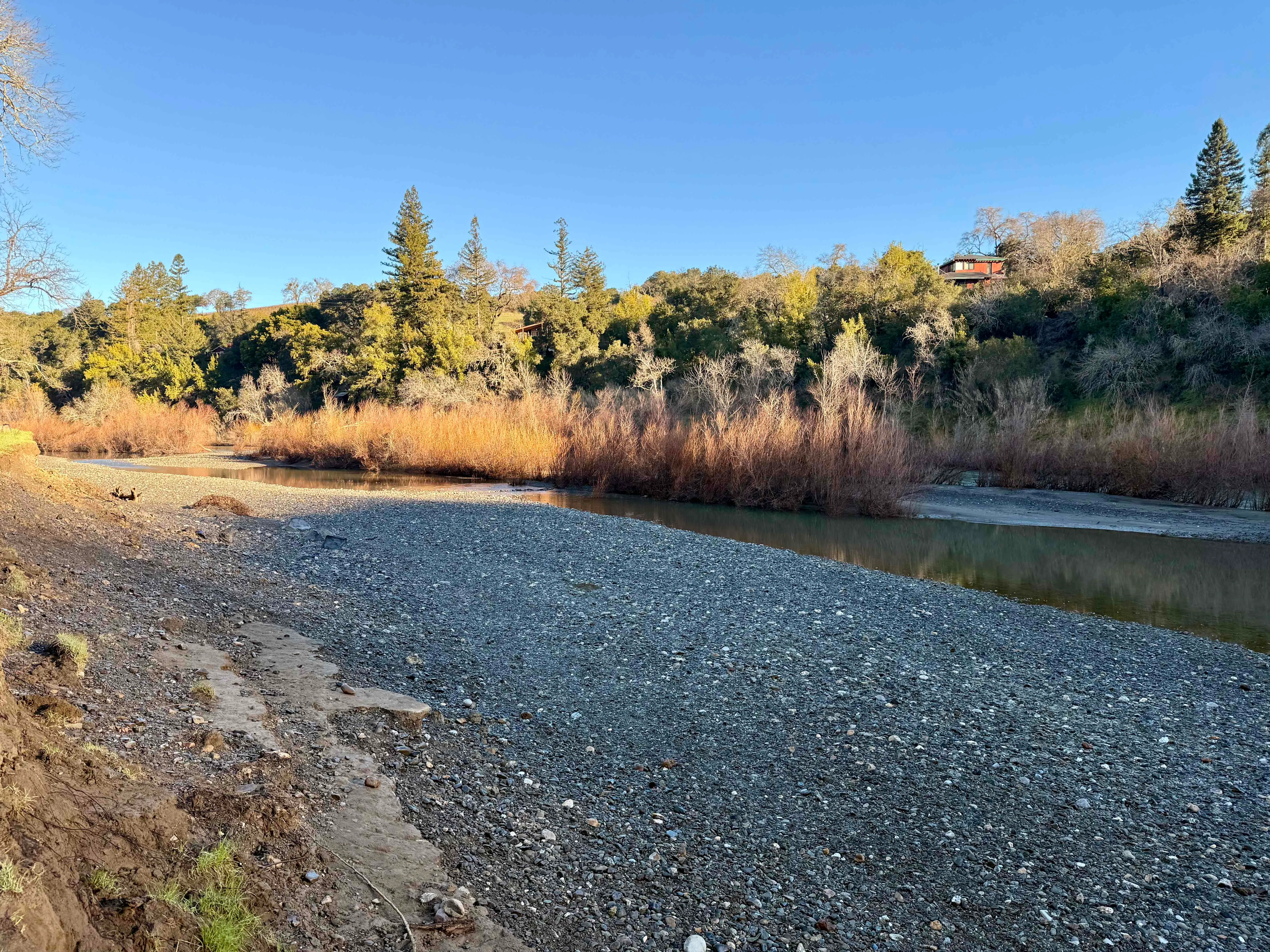 Del Rio Woods
