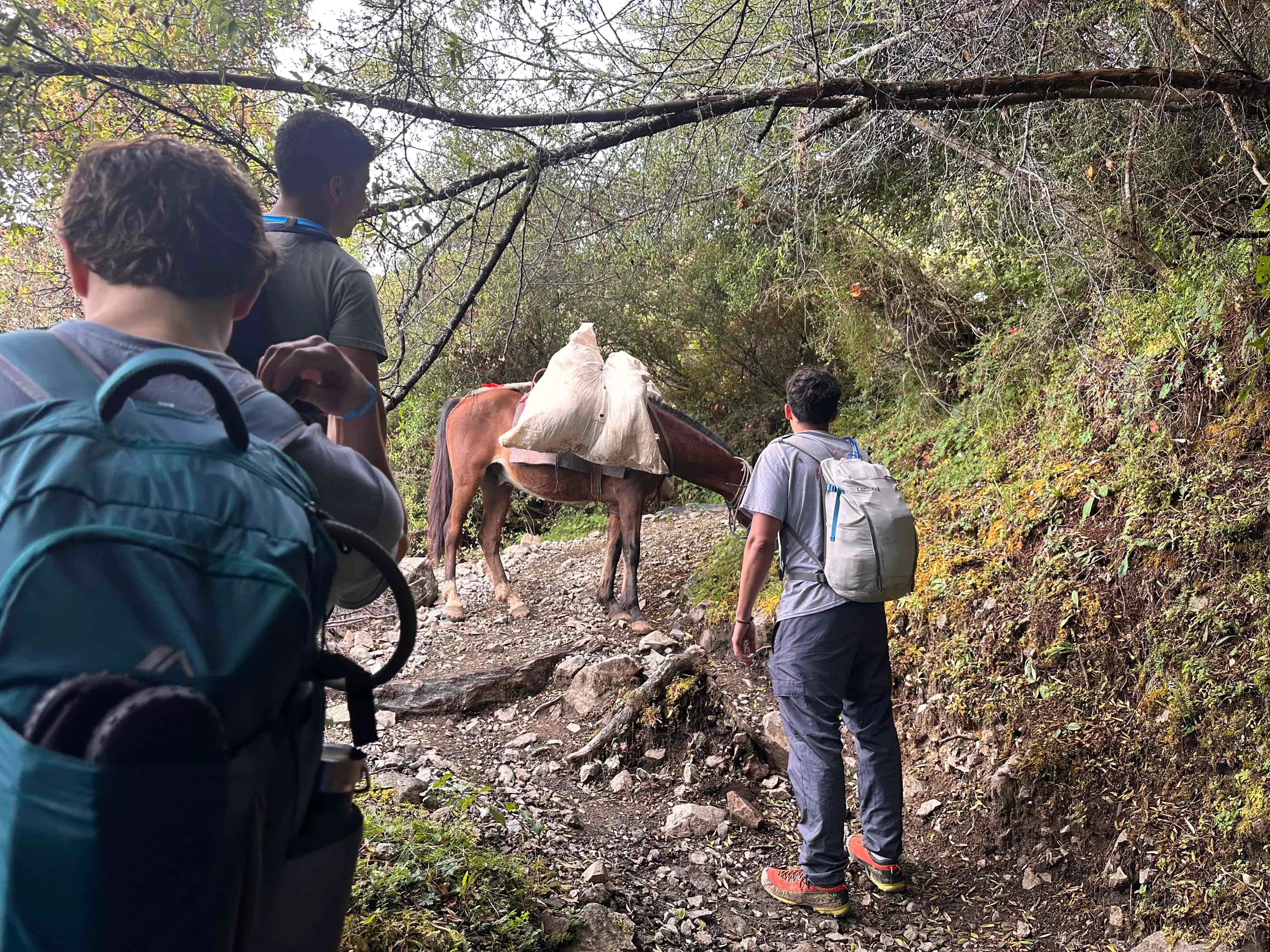 Hike Cerro Chirripó