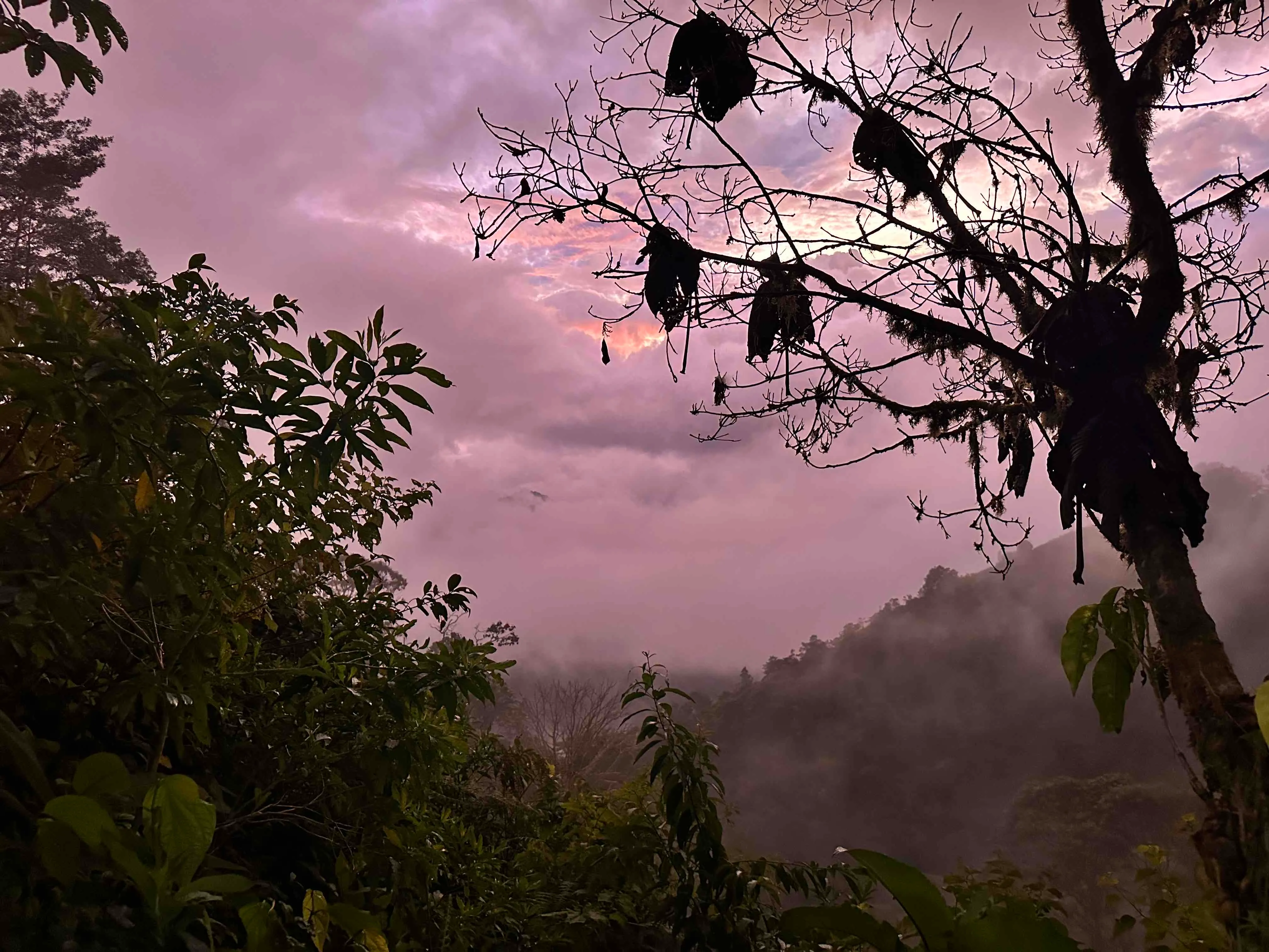 Hike Cerro Chirripó