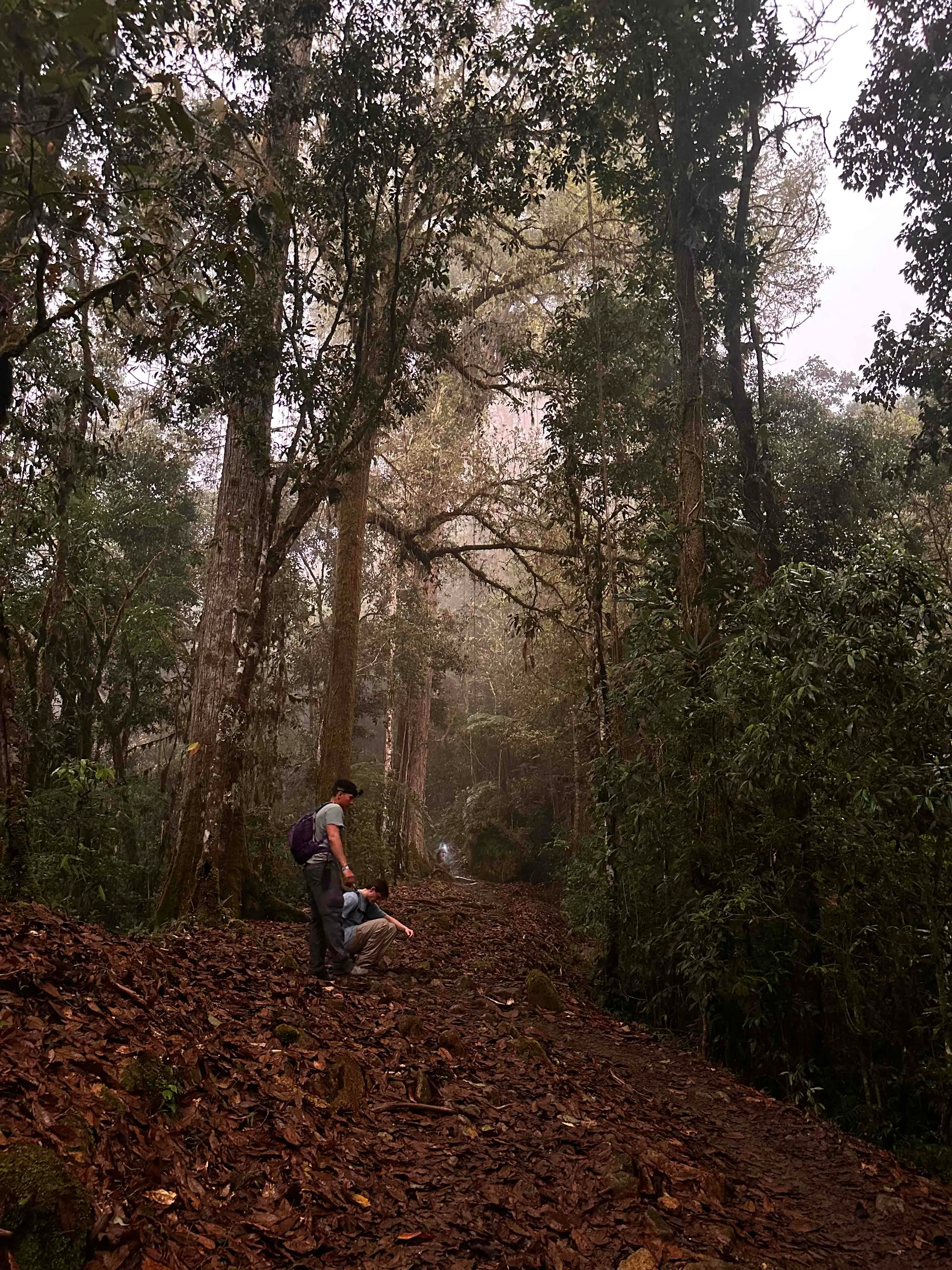 Hike Cerro Chirripó