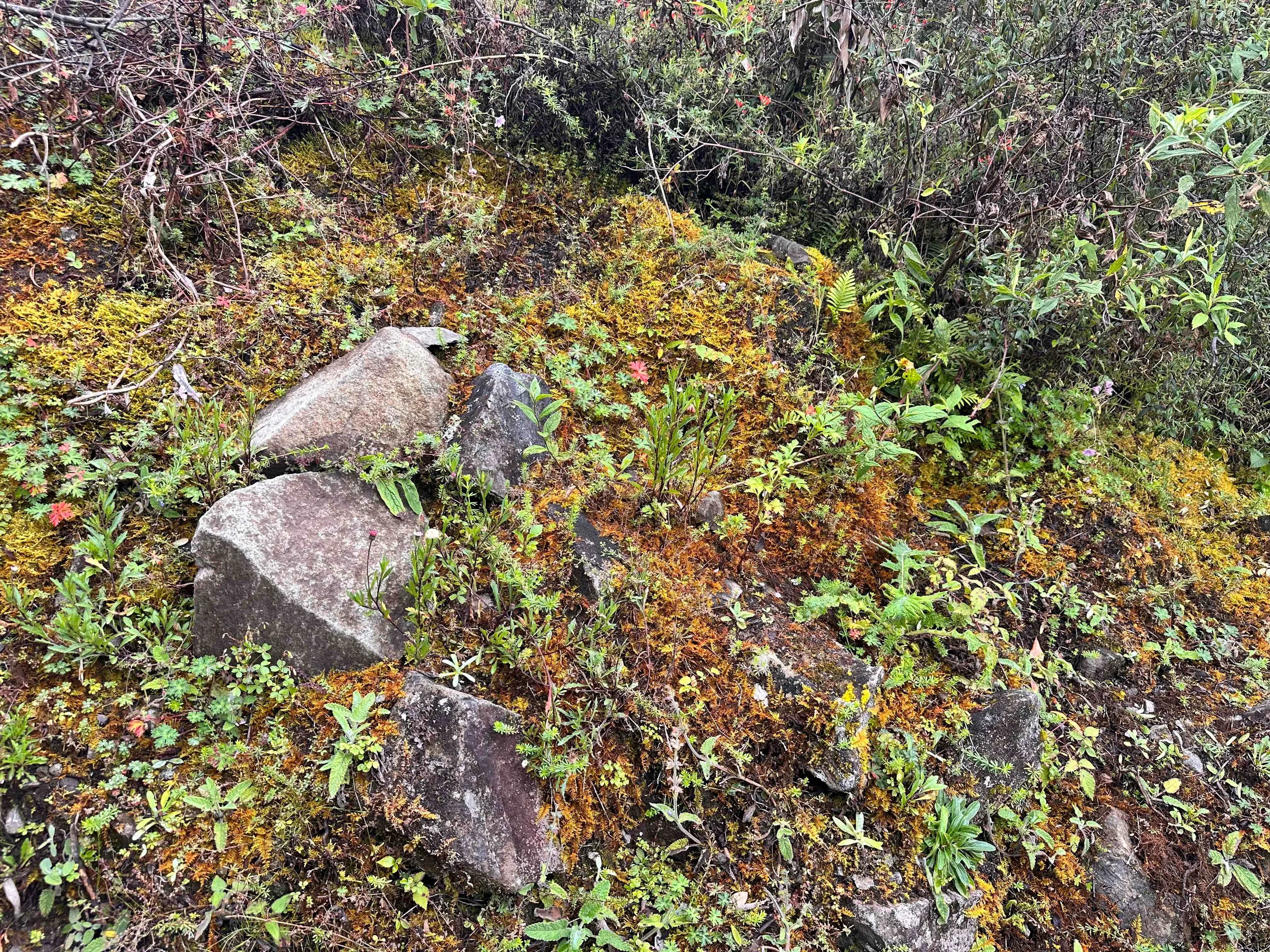 Hike Cerro Chirripó