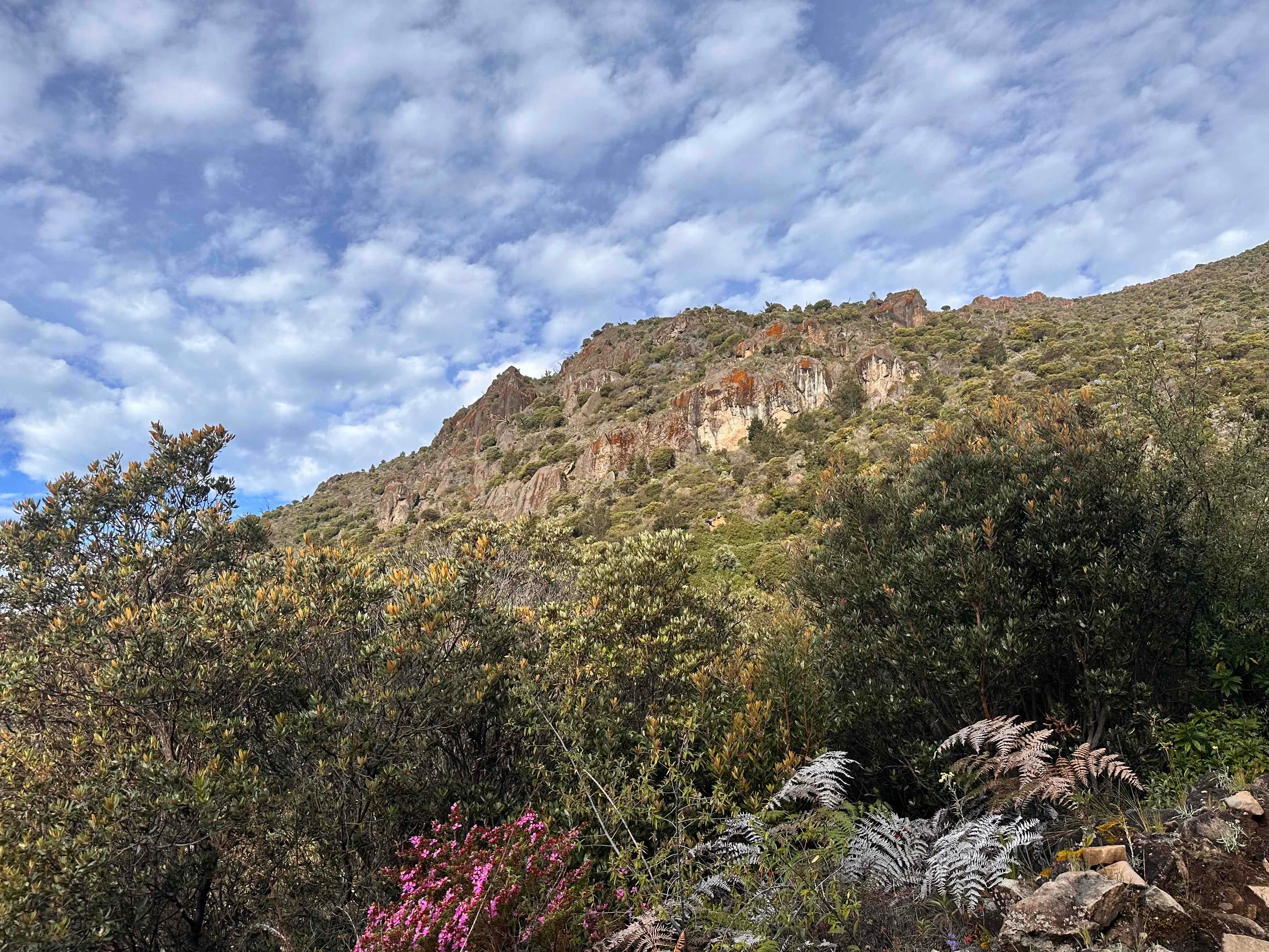 Hike Cerro Chirripó
